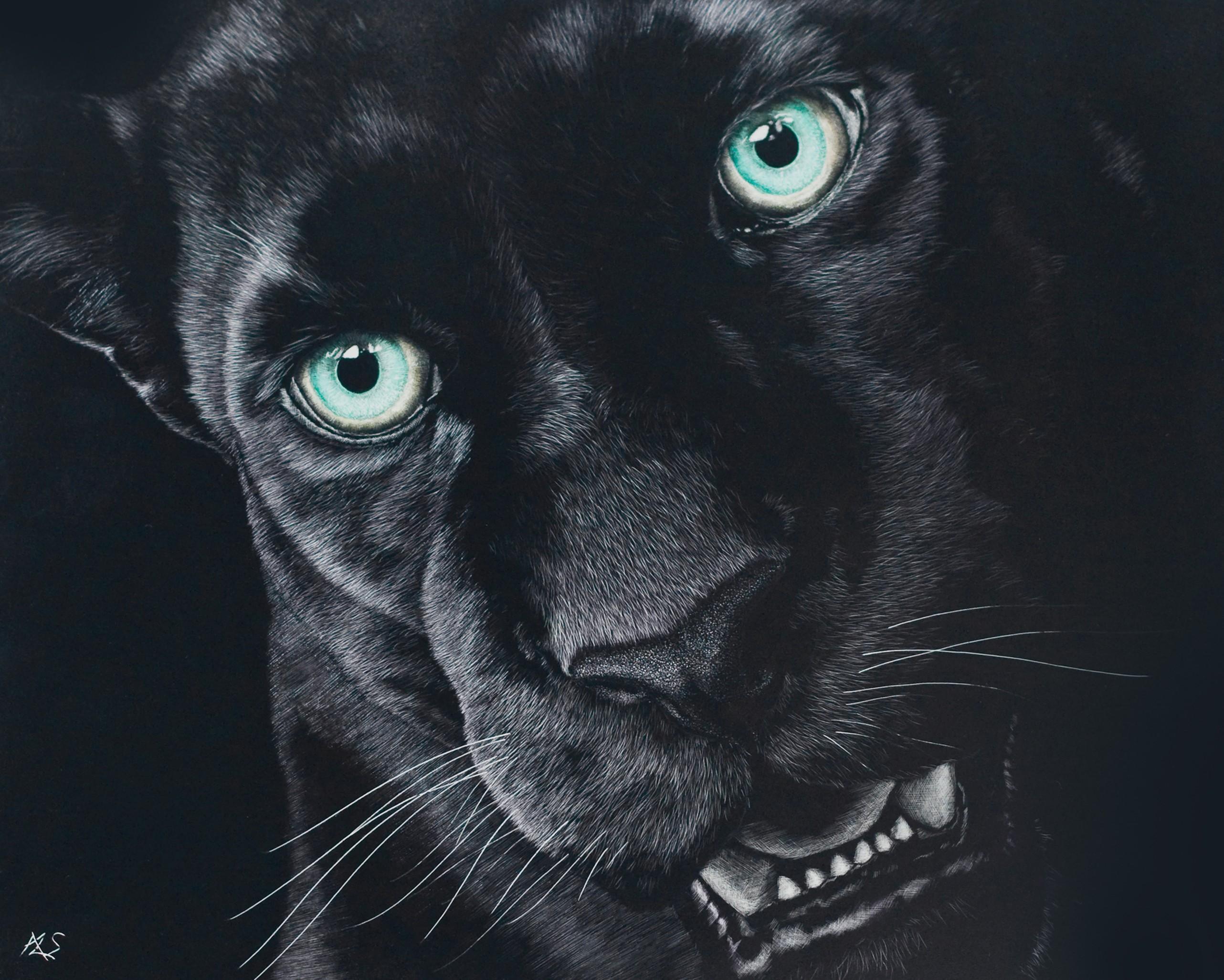 Wallpaper Black Jaguar Wallpapers