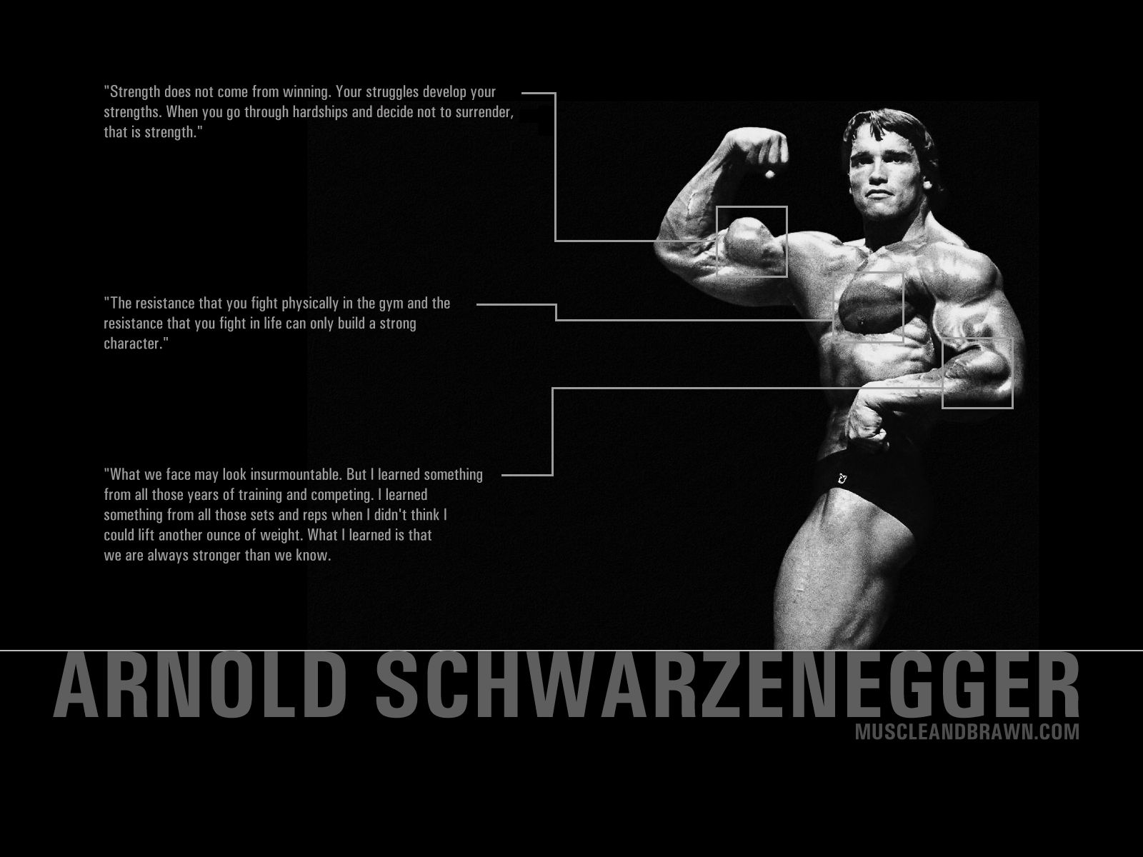 Wallpaper Bodybuilding Logo Wallpapers