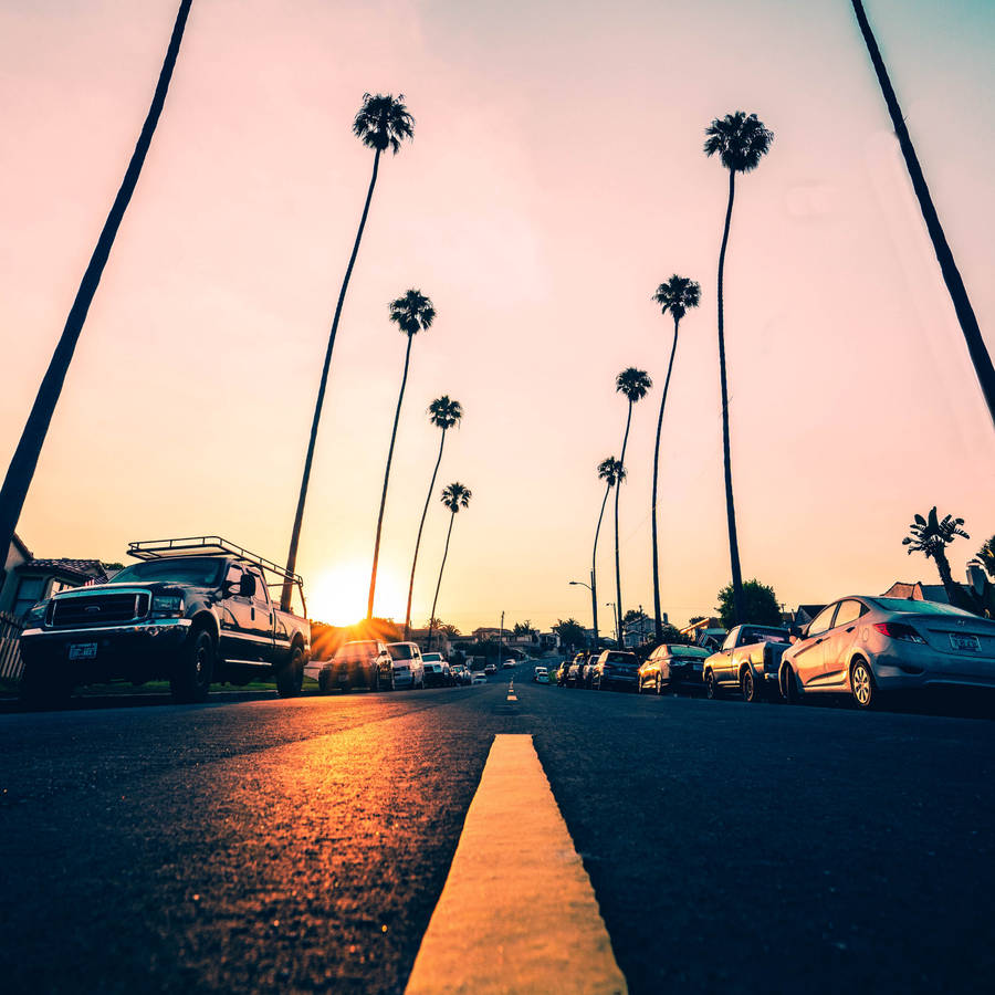 Wallpaper California Palm Trees Wallpapers