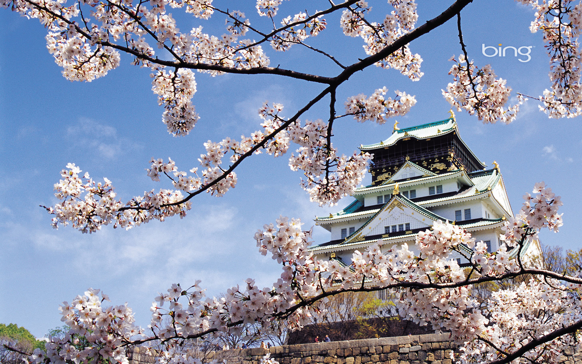 Wallpaper Cherry Blossom Japan Wallpapers