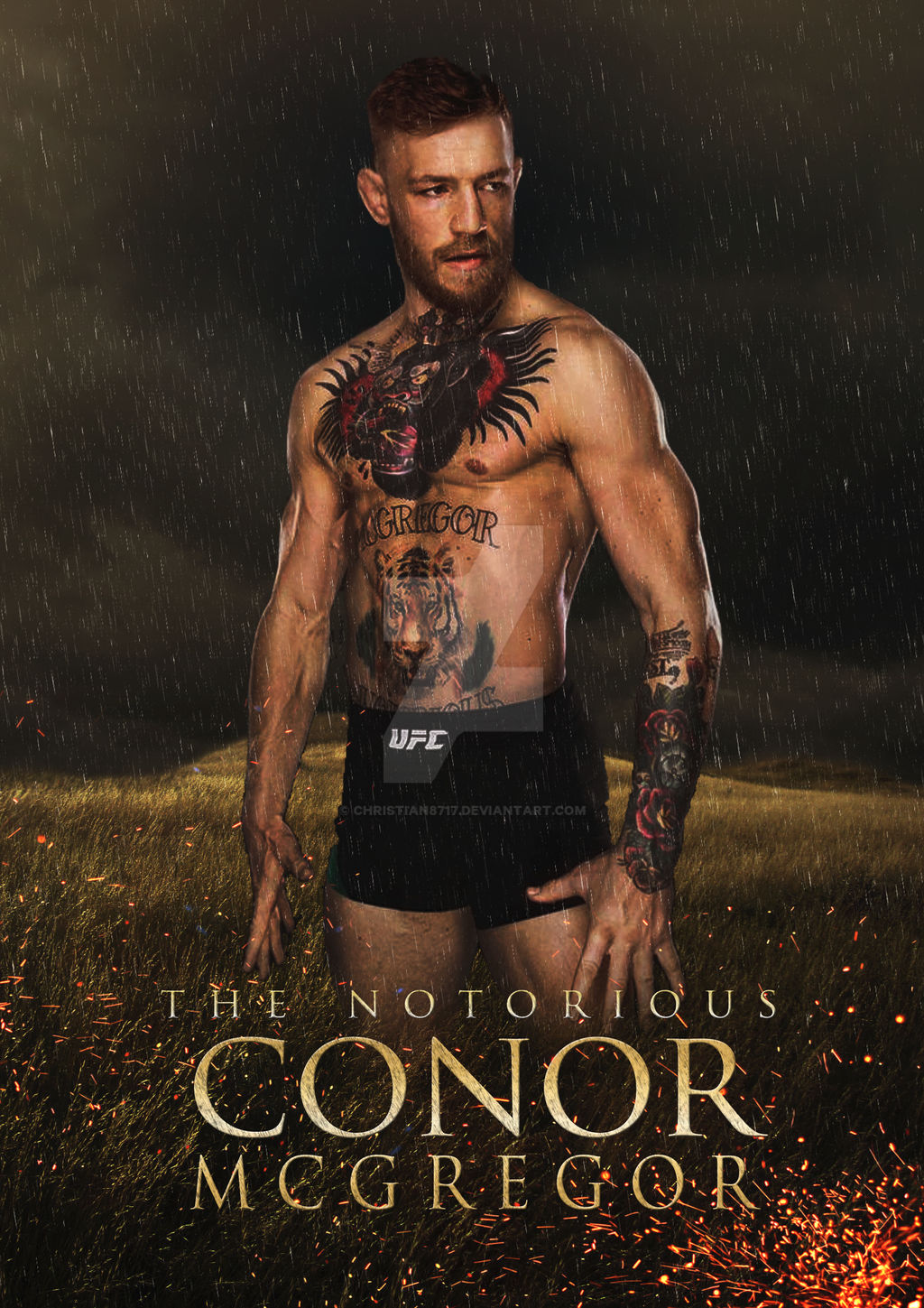 Wallpaper Conor Mcgregor Wallpapers