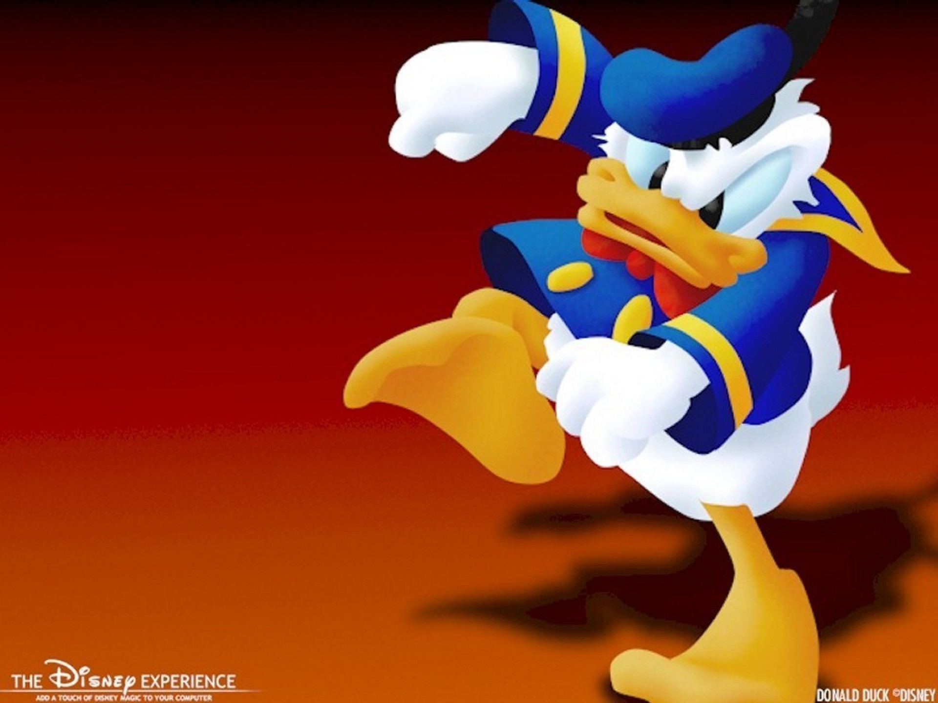 Wallpaper Donald Duck Wallpapers