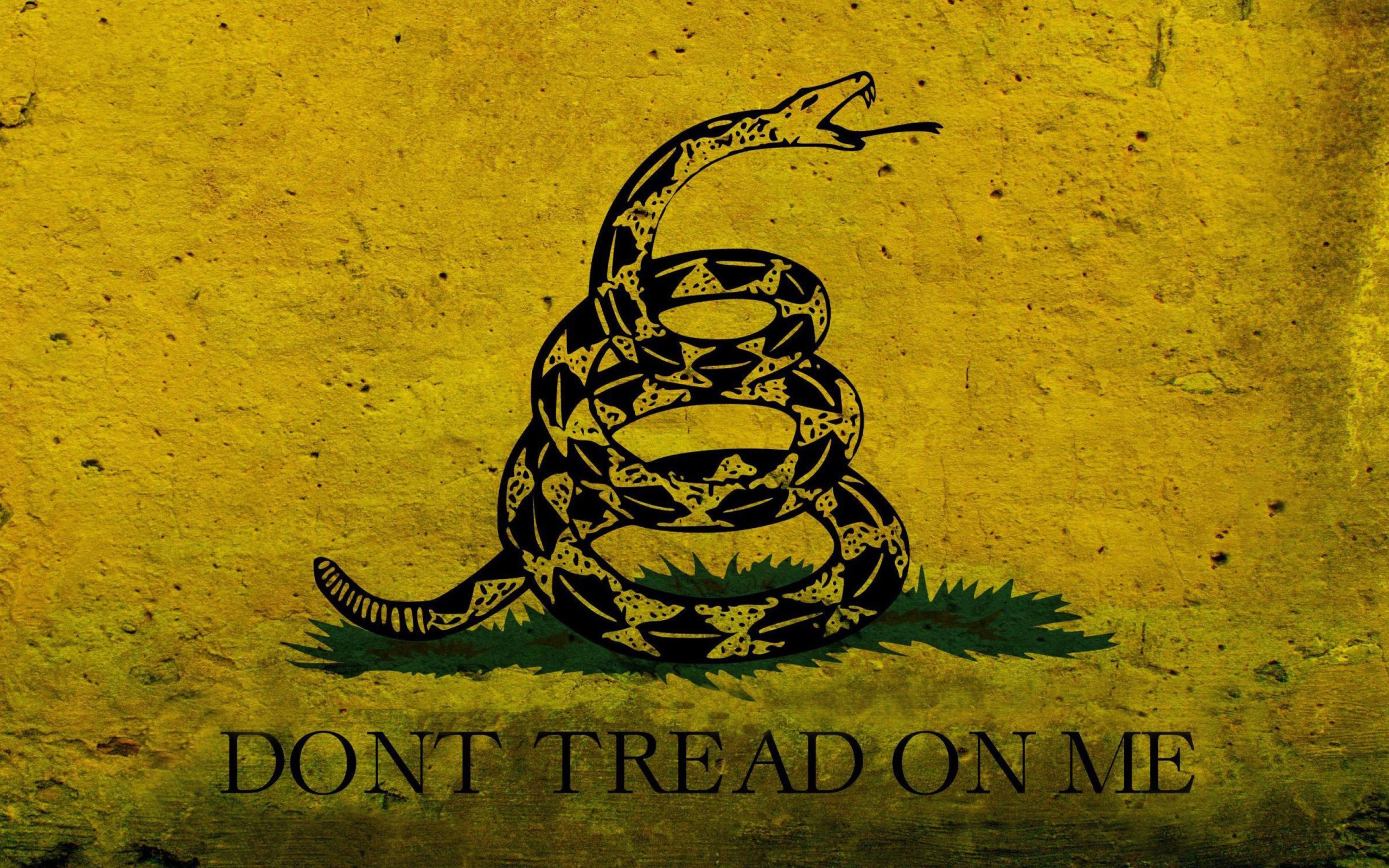 Wallpaper Dont Tread On Me Wallpapers