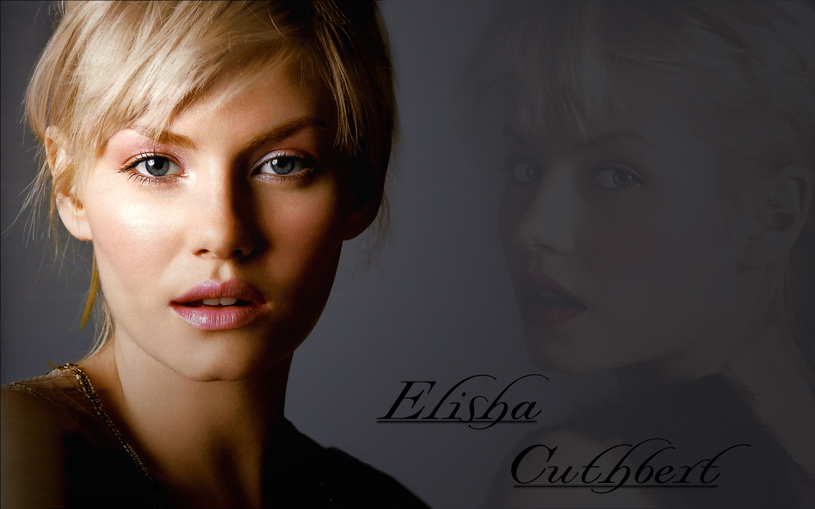 Wallpaper Elisha Cuthbert Wallpapers