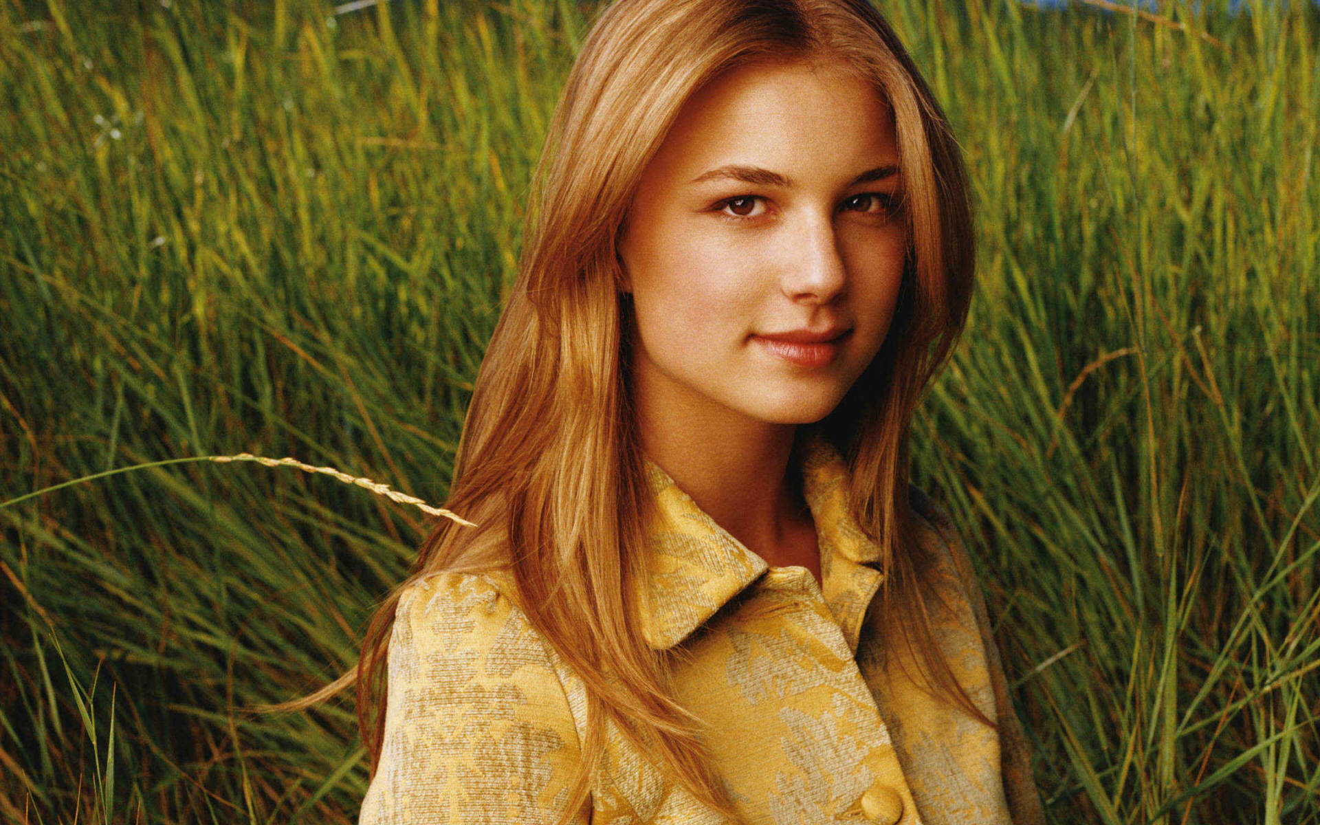 Wallpaper Emily Vancamp Wallpapers