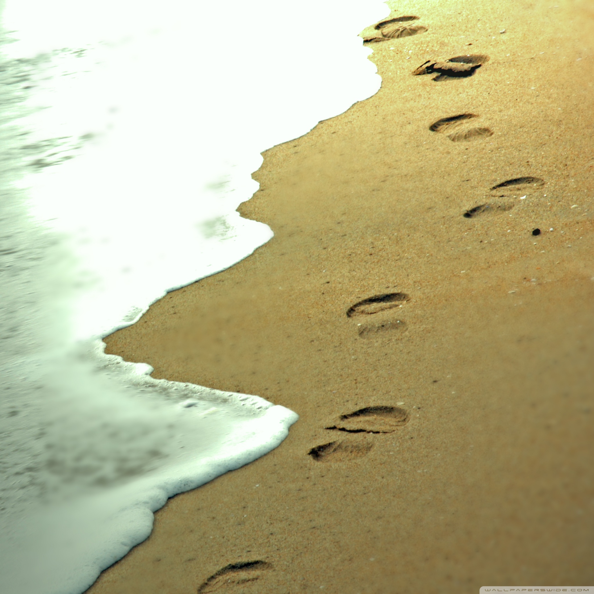 Wallpaper Footprints In The Sand Wallpapers