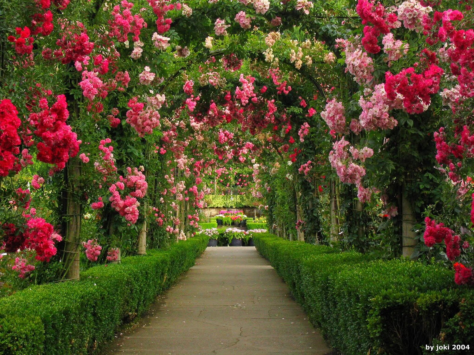 Wallpaper Garden Wallpapers