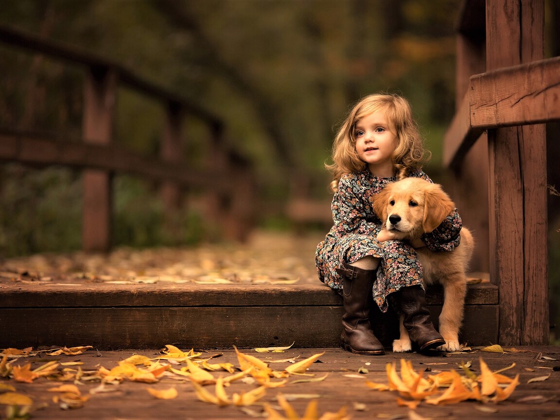 Wallpaper Golden Retriever Wallpapers