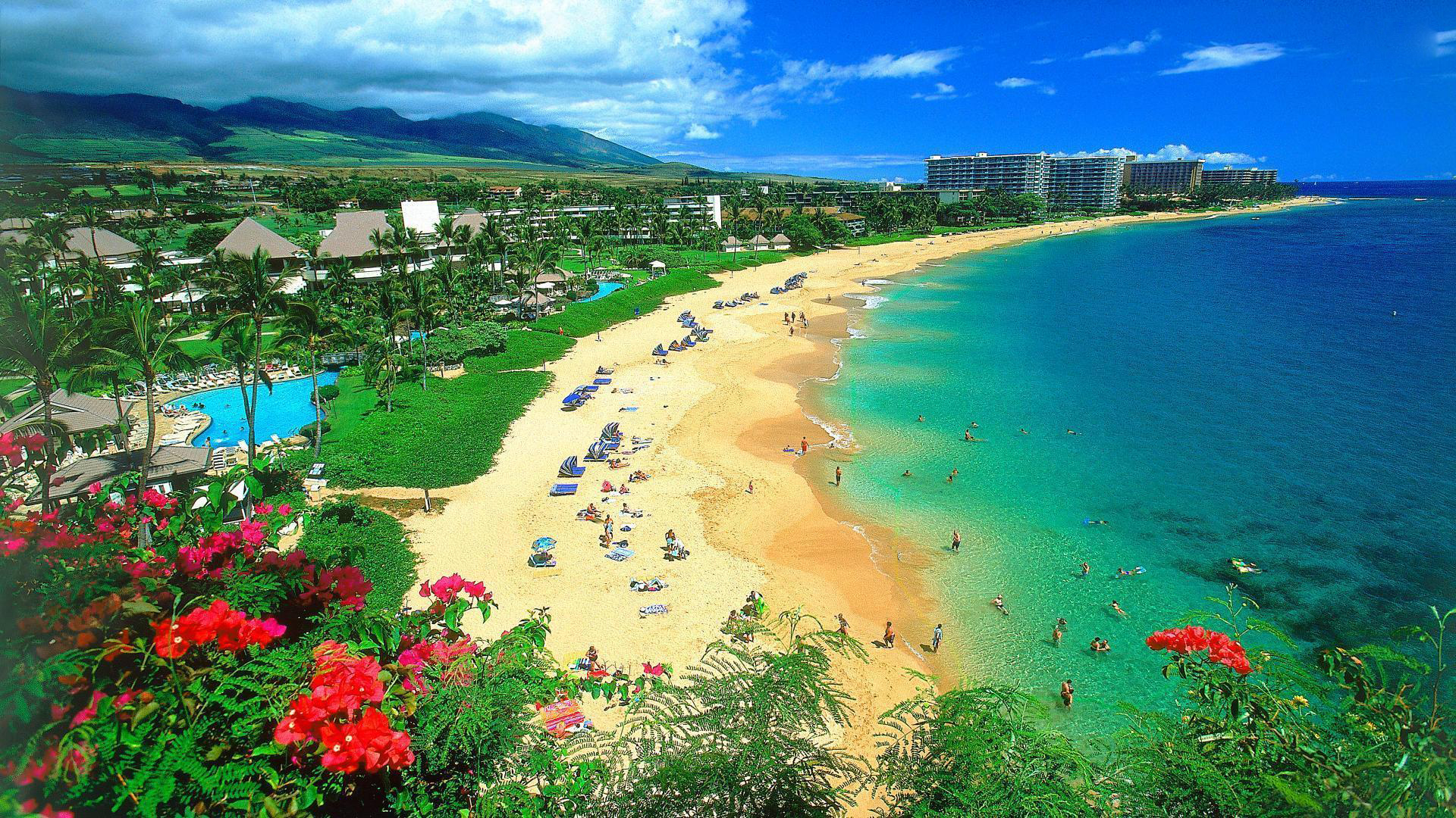 Wallpaper Hawaii Beach Wallpapers