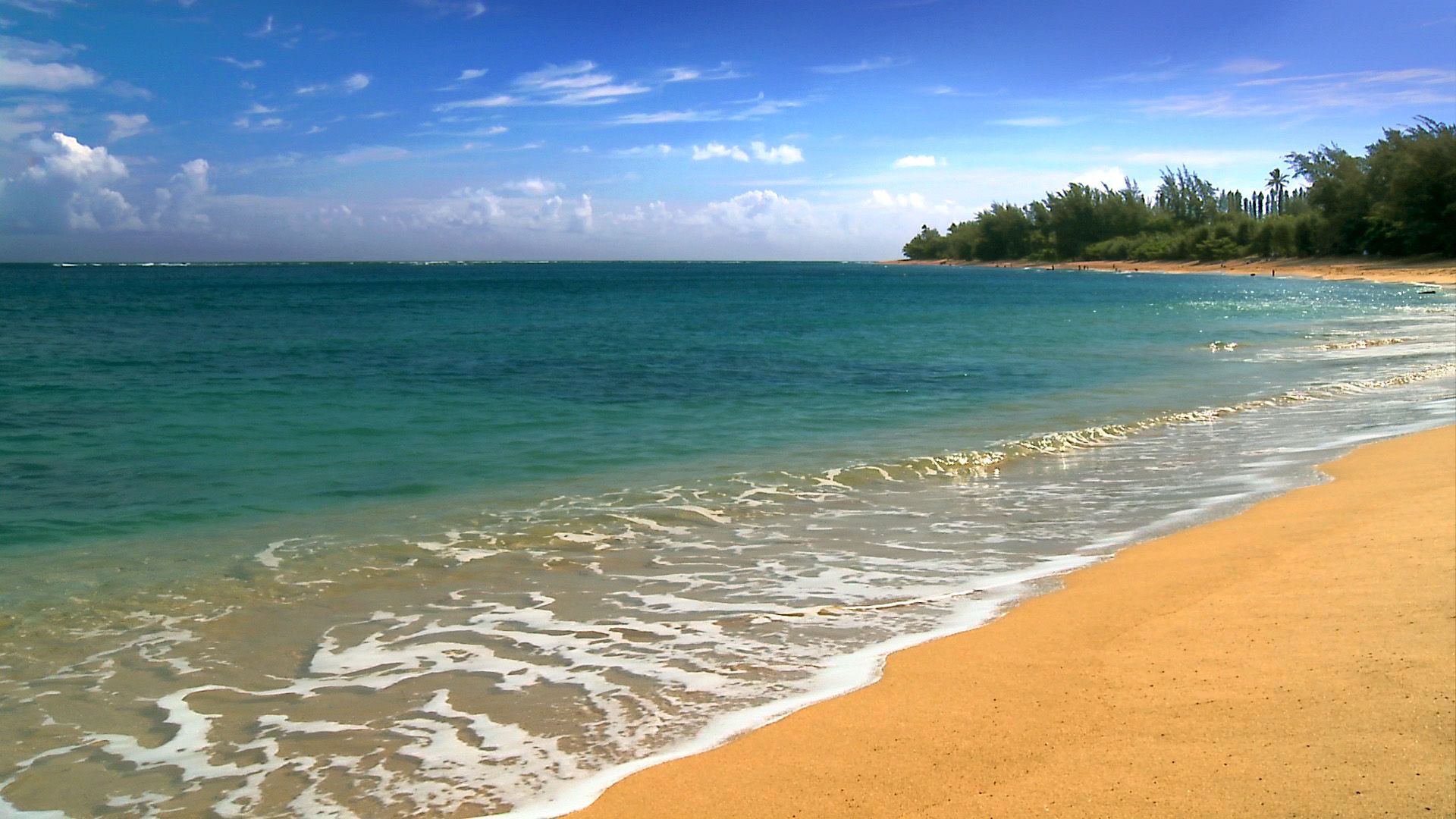 Wallpaper Hawaii Beach Wallpapers