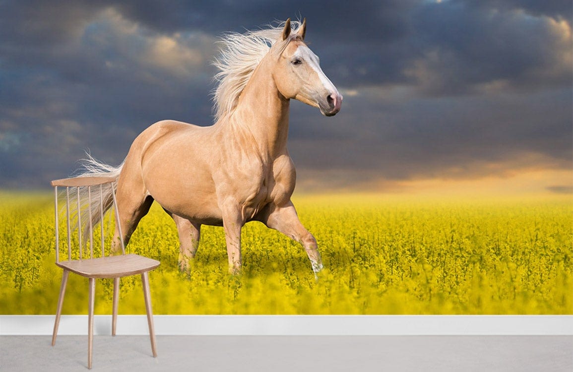 Wallpaper Horse Wallpapers