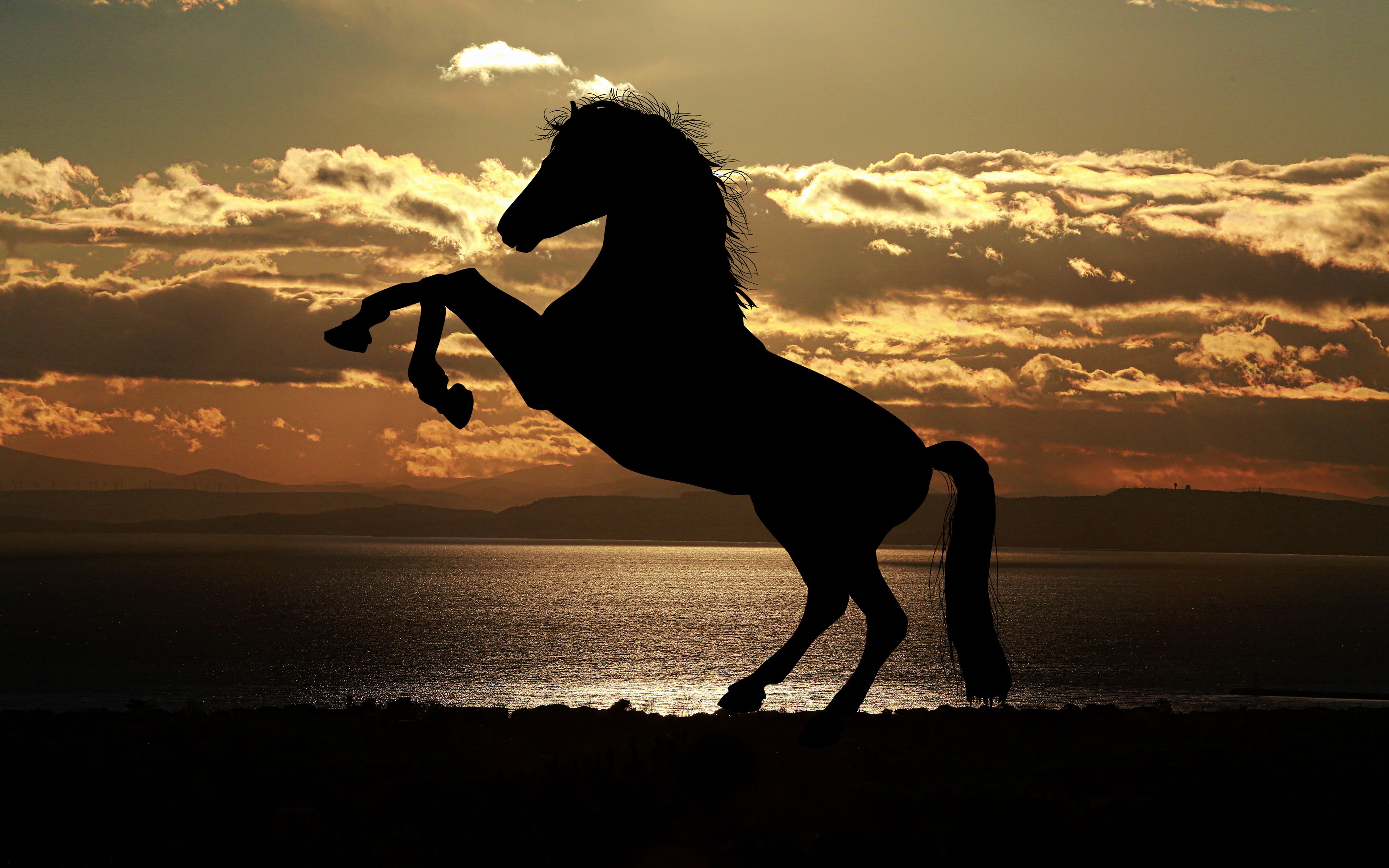 Wallpaper Horse Sunset Wallpapers