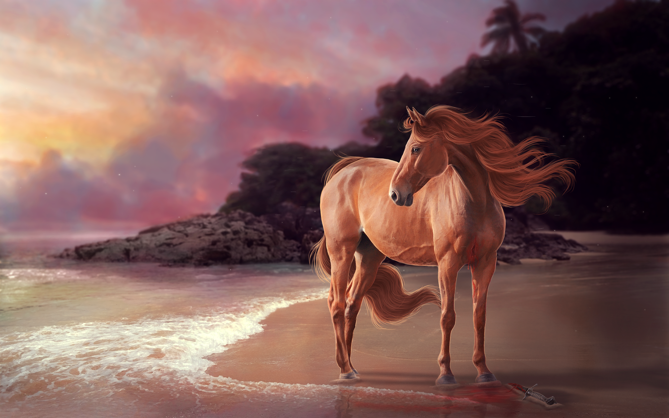 Wallpaper Horse Sunset Wallpapers