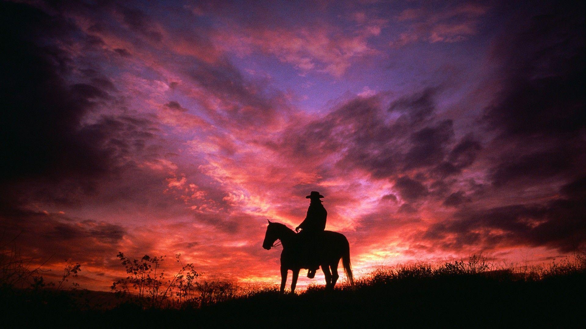 Wallpaper Horse Sunset Wallpapers