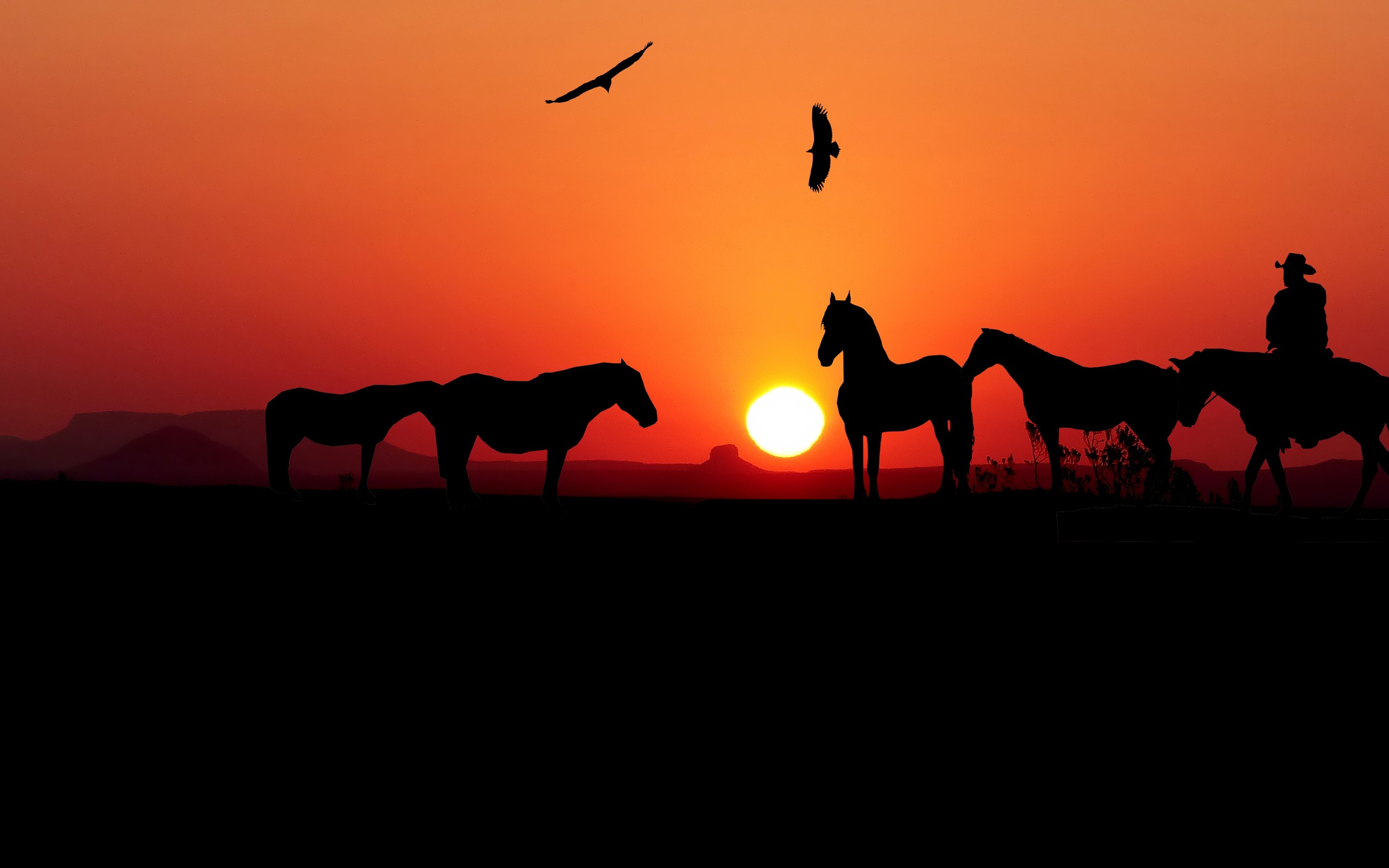 Wallpaper Horse Sunset Wallpapers