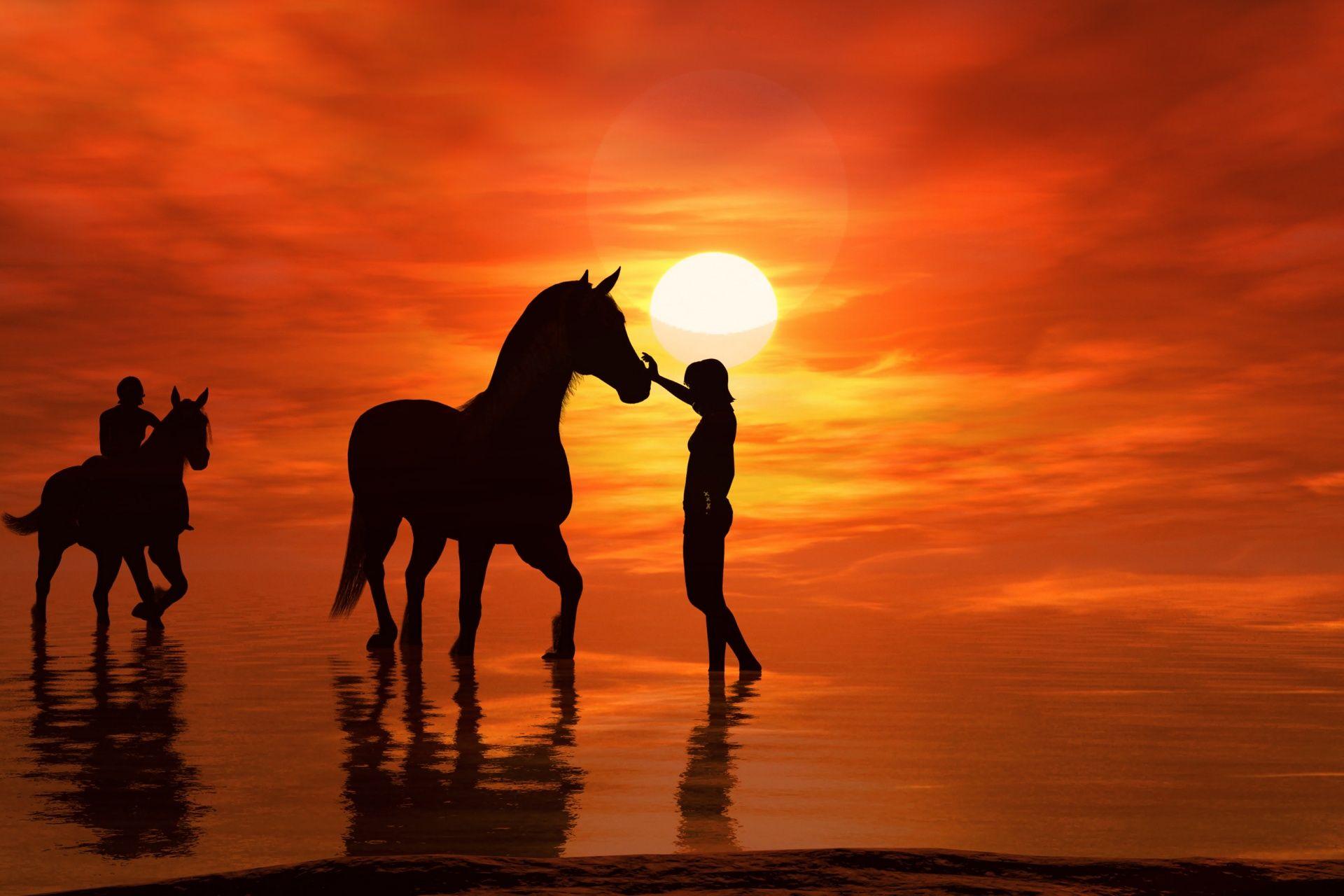 Wallpaper Horse Sunset Wallpapers