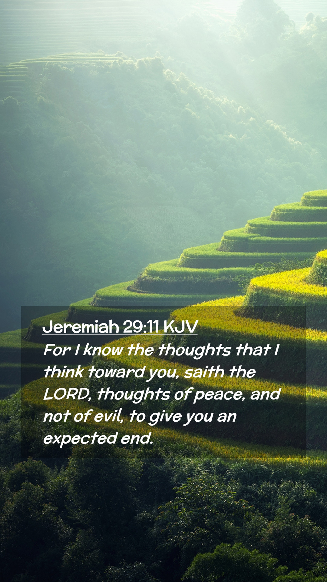 Wallpaper Jeremiah 29 11 Wallpapers