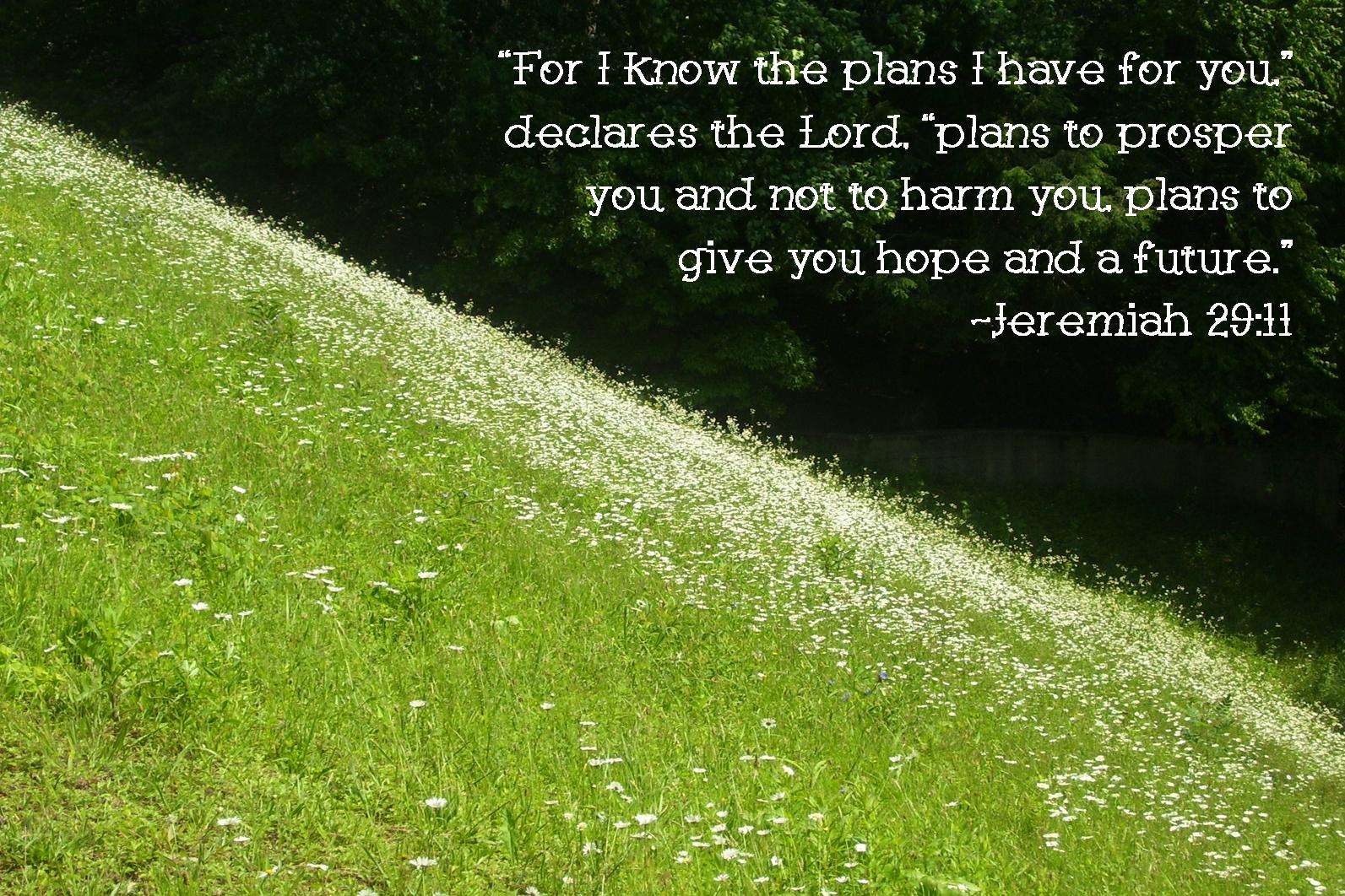 Wallpaper Jeremiah 29 11 Wallpapers