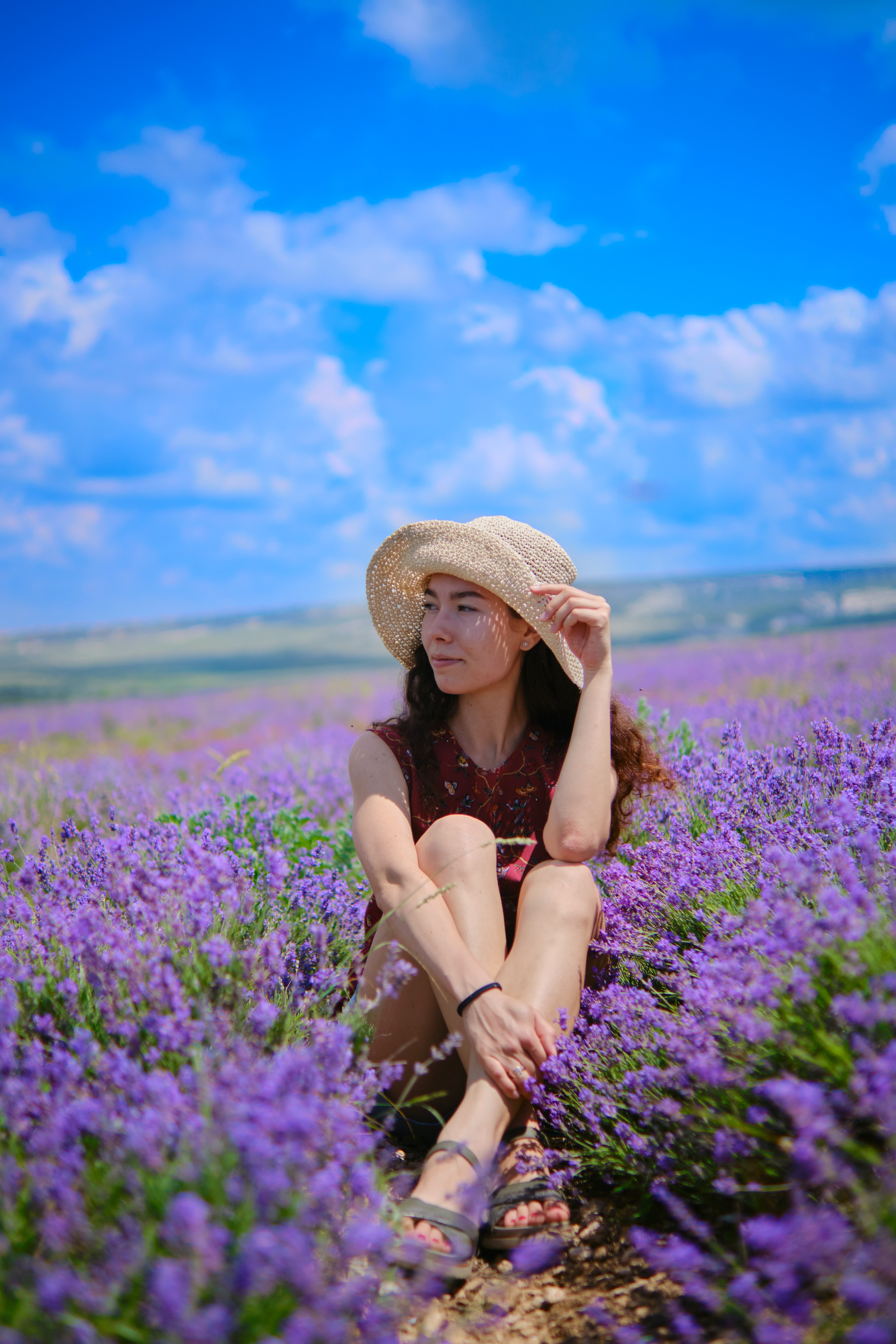 Wallpaper Lavender Field Wallpapers