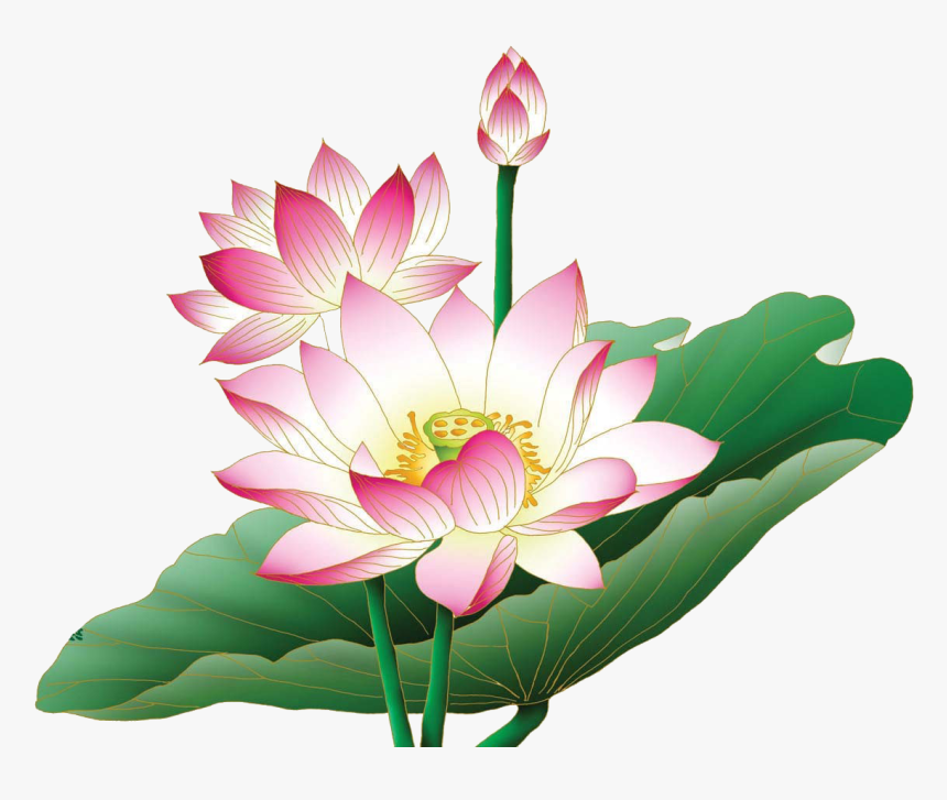 Wallpaper Lotus Flower Wallpapers