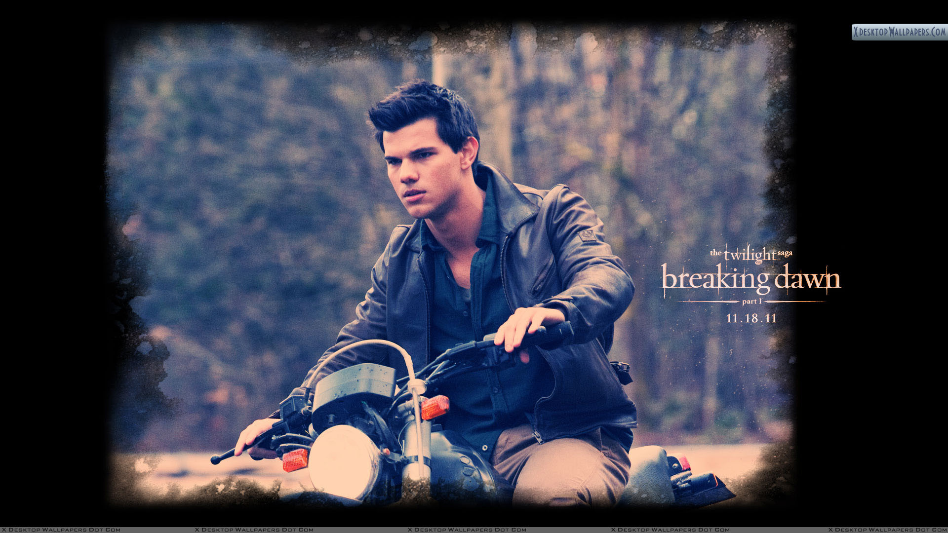 Wallpaper Of Taylor Lautner Wallpapers