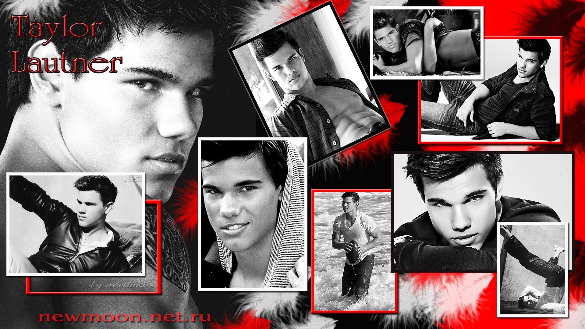 Wallpaper Of Taylor Lautner Wallpapers
