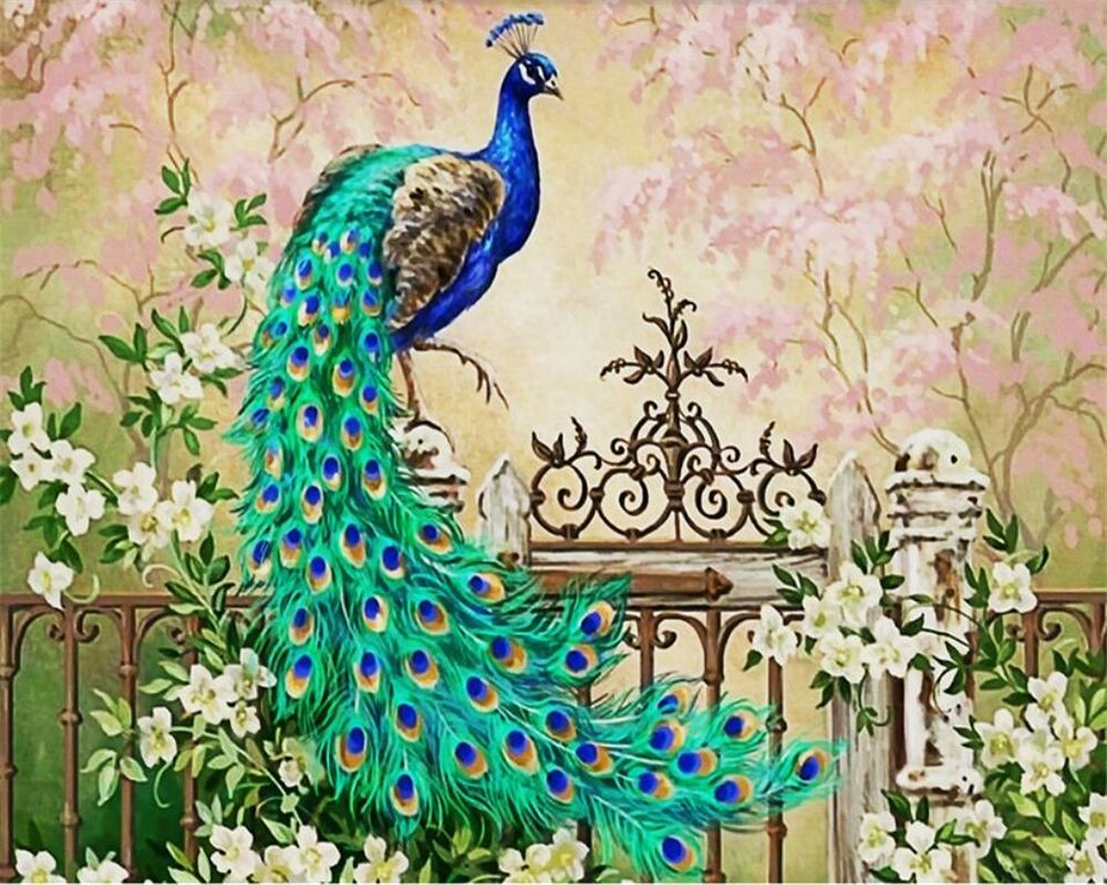 Wallpaper Peacock Wallpapers