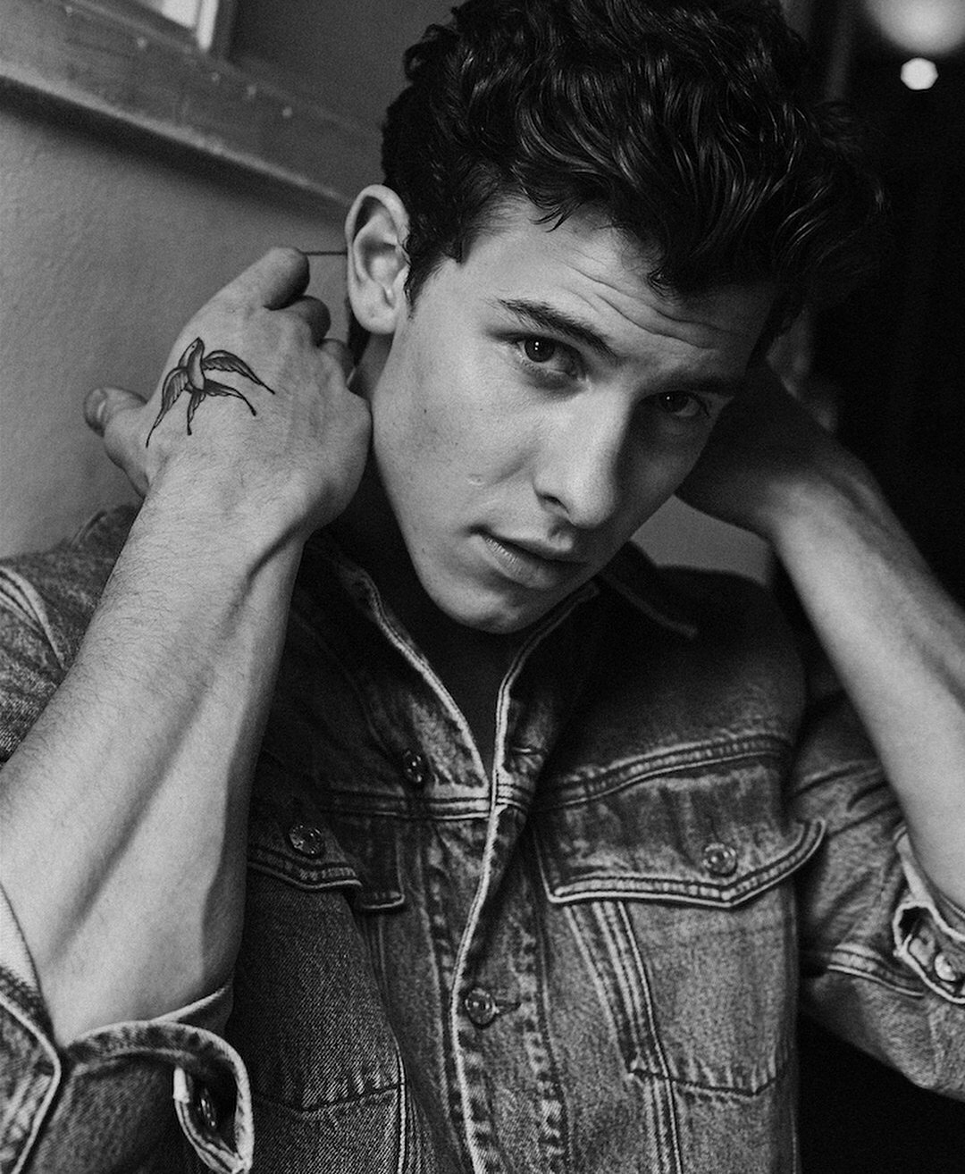 Wallpaper Shawn Mendes Wallpapers