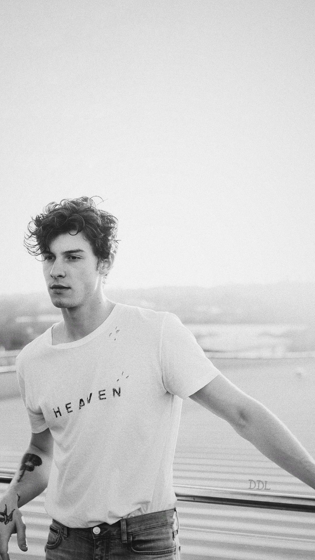 Wallpaper Shawn Mendes Wallpapers