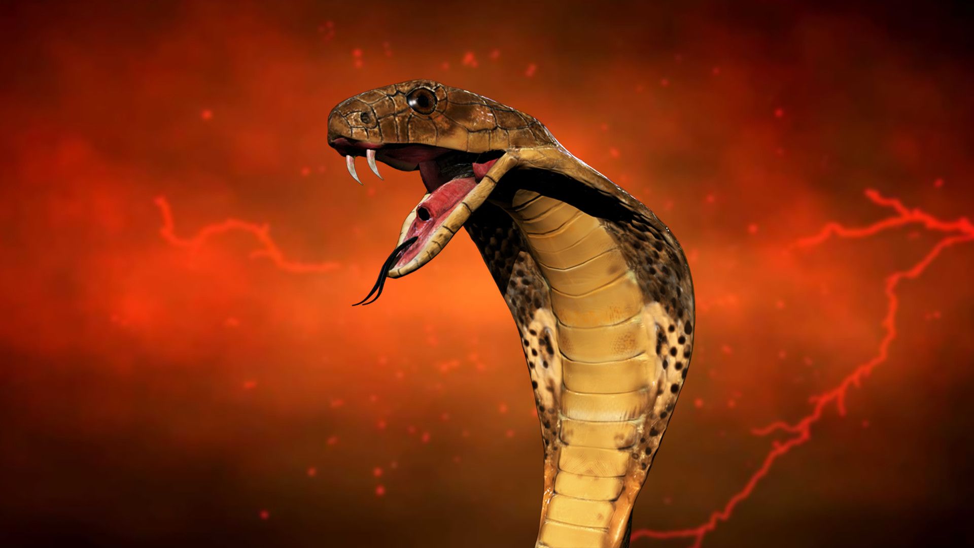 Wallpaper Snake 3D Wallpapers