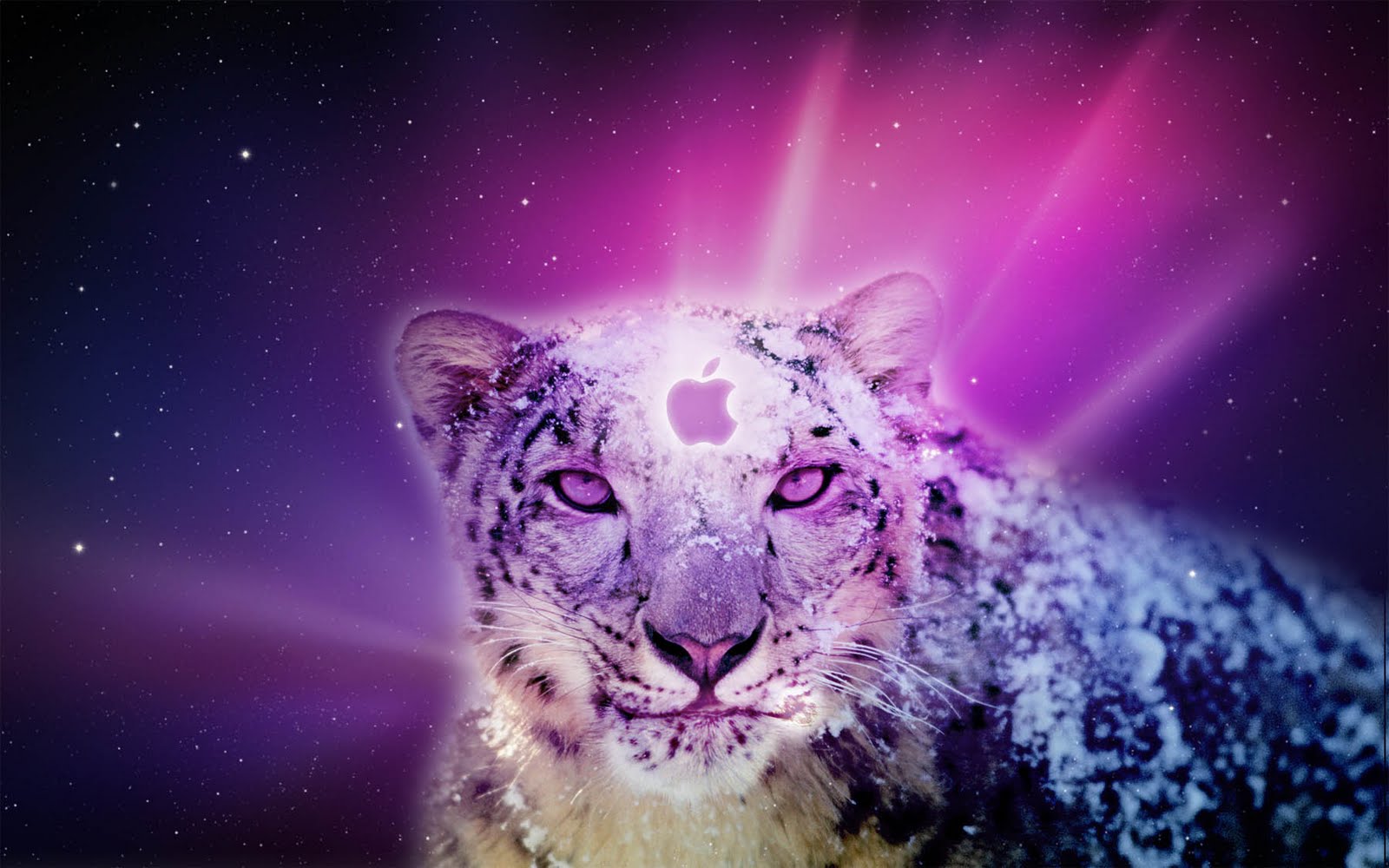 Wallpaper Snow Leopard Wallpapers