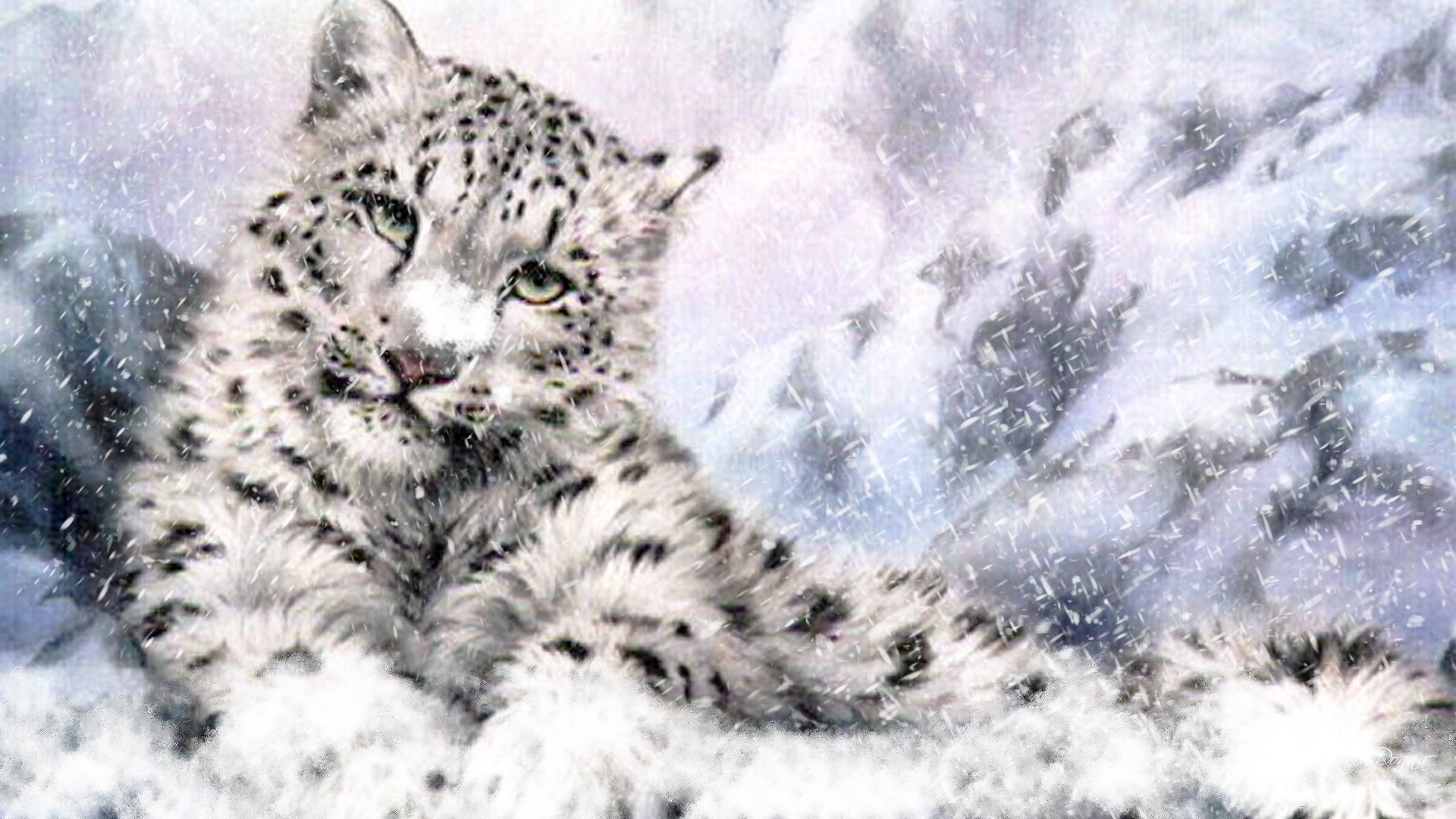 Wallpaper Snow Leopard Wallpapers