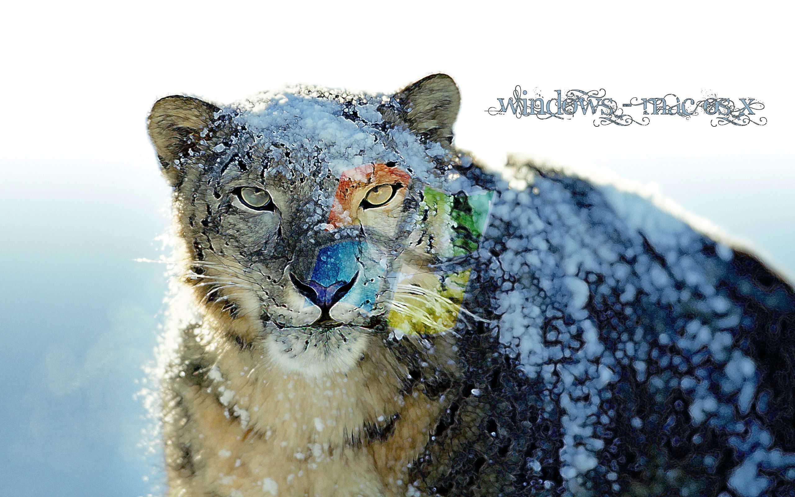 Wallpaper Snow Leopard Wallpapers