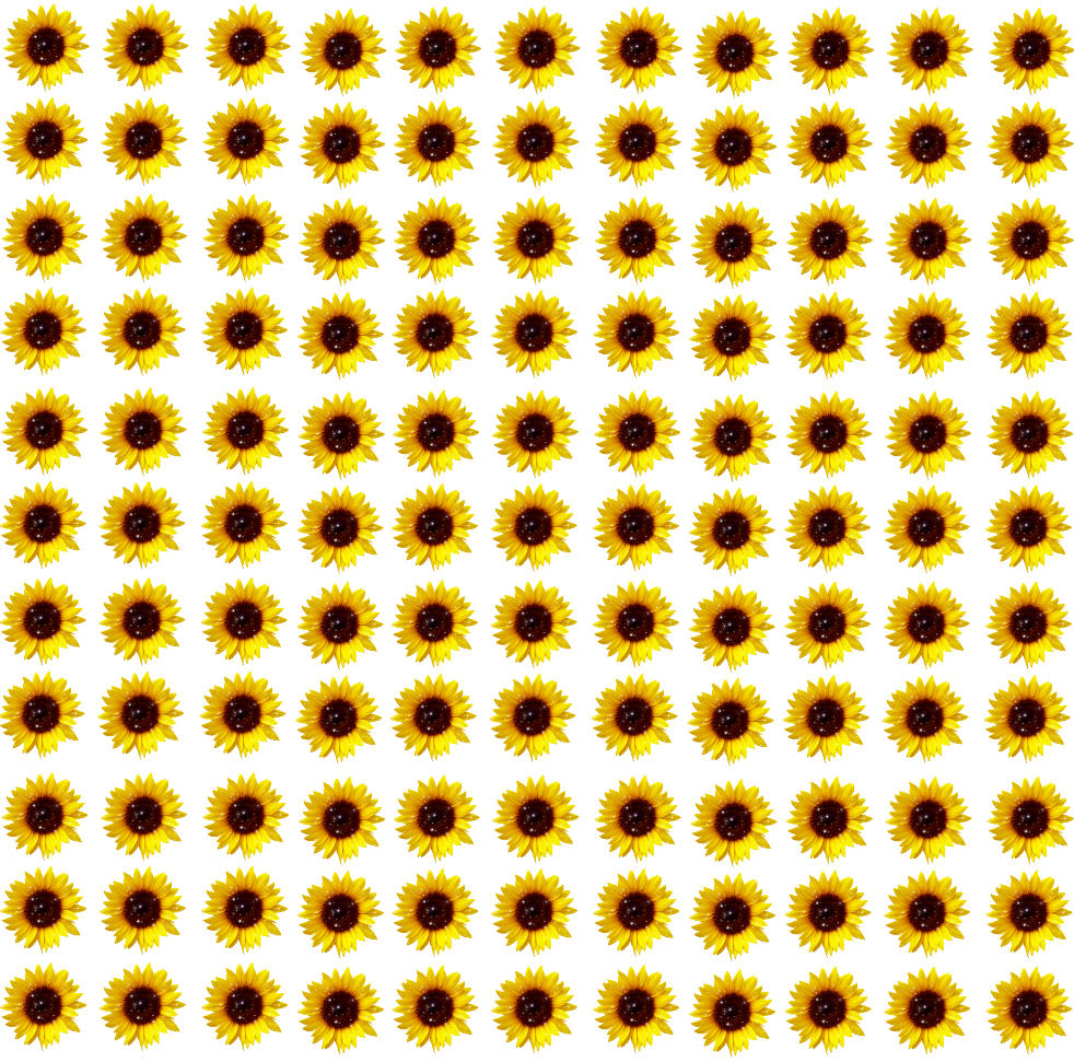 Wallpaper Sunflower Pattern Wallpapers