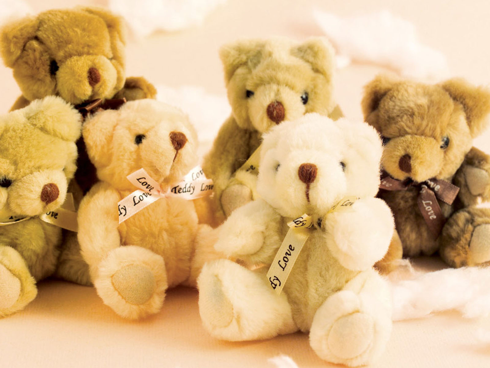 Wallpaper Teddy Bear Wallpapers