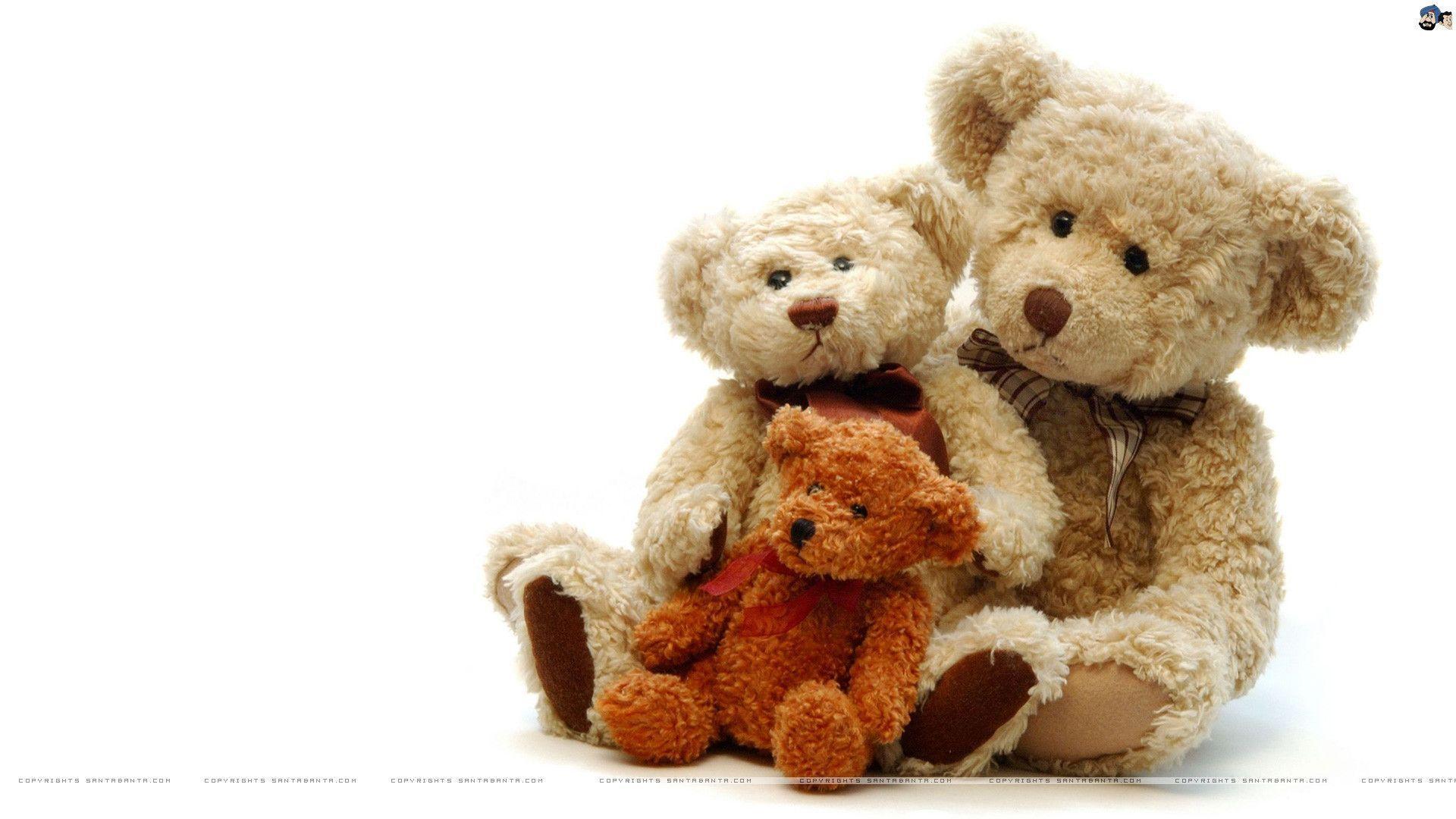 Wallpaper Teddy Bear Wallpapers