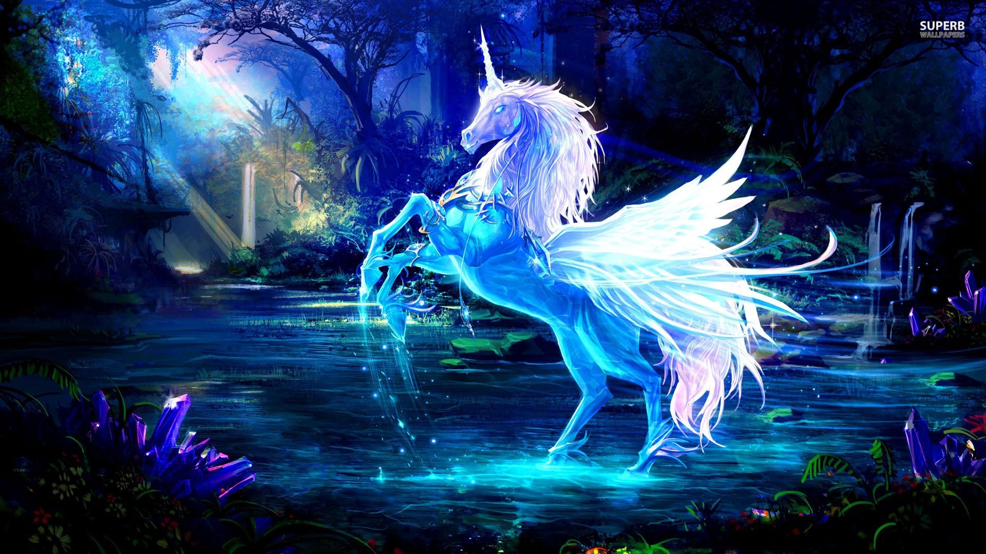 Wallpaper Unicorn Pictures Wallpapers