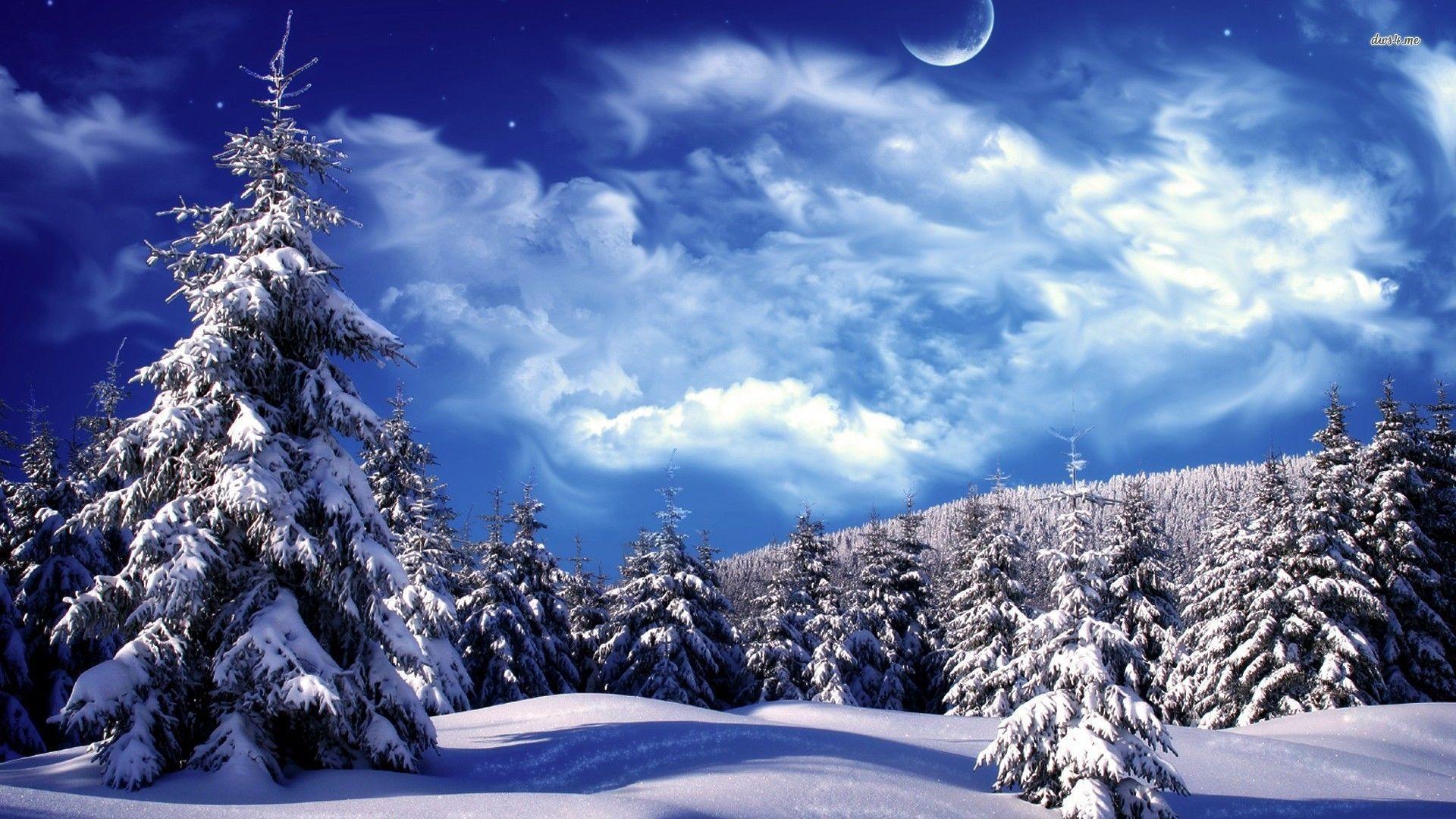 Wallpaper Winter Wonderland Wallpapers