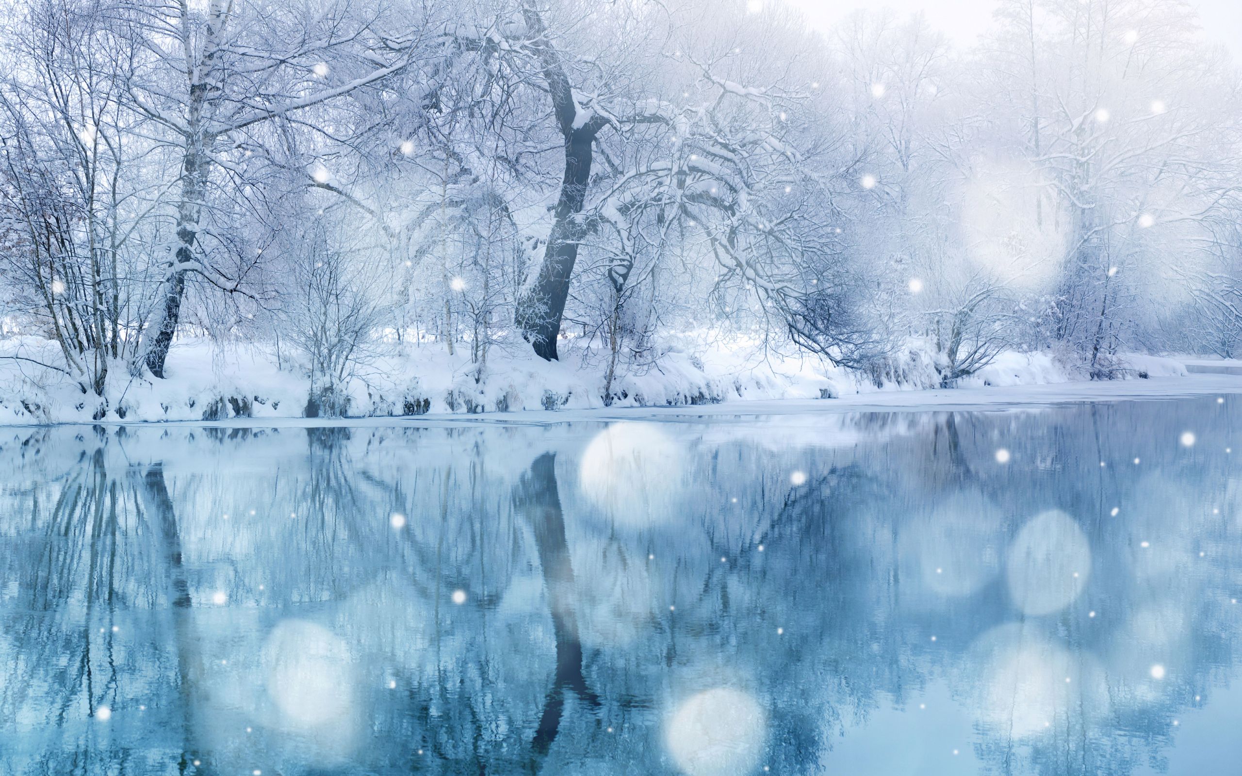 Wallpaper Winter Wonderland Wallpapers