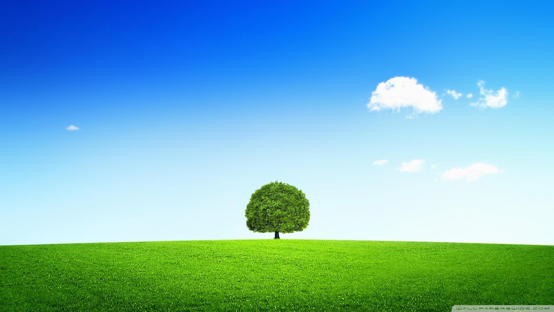 Wallpaper With Tree Wallpapers