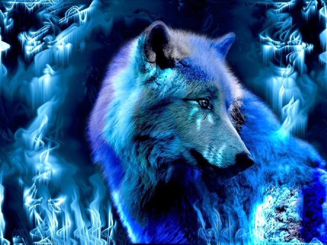 Wallpaper Wolfs Wallpapers