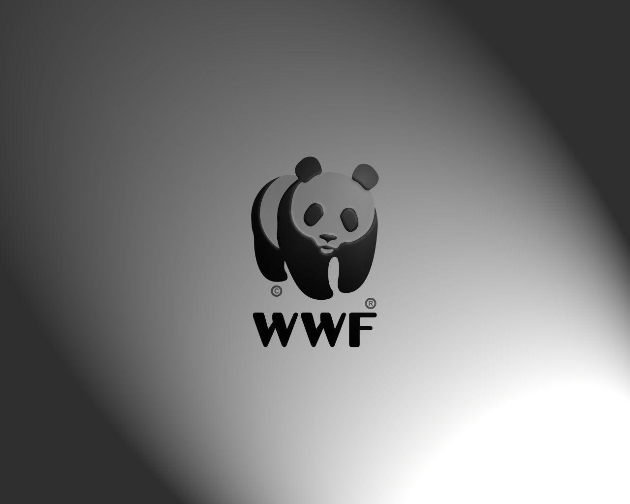 Wallpapers Of Wwf Wallpapers