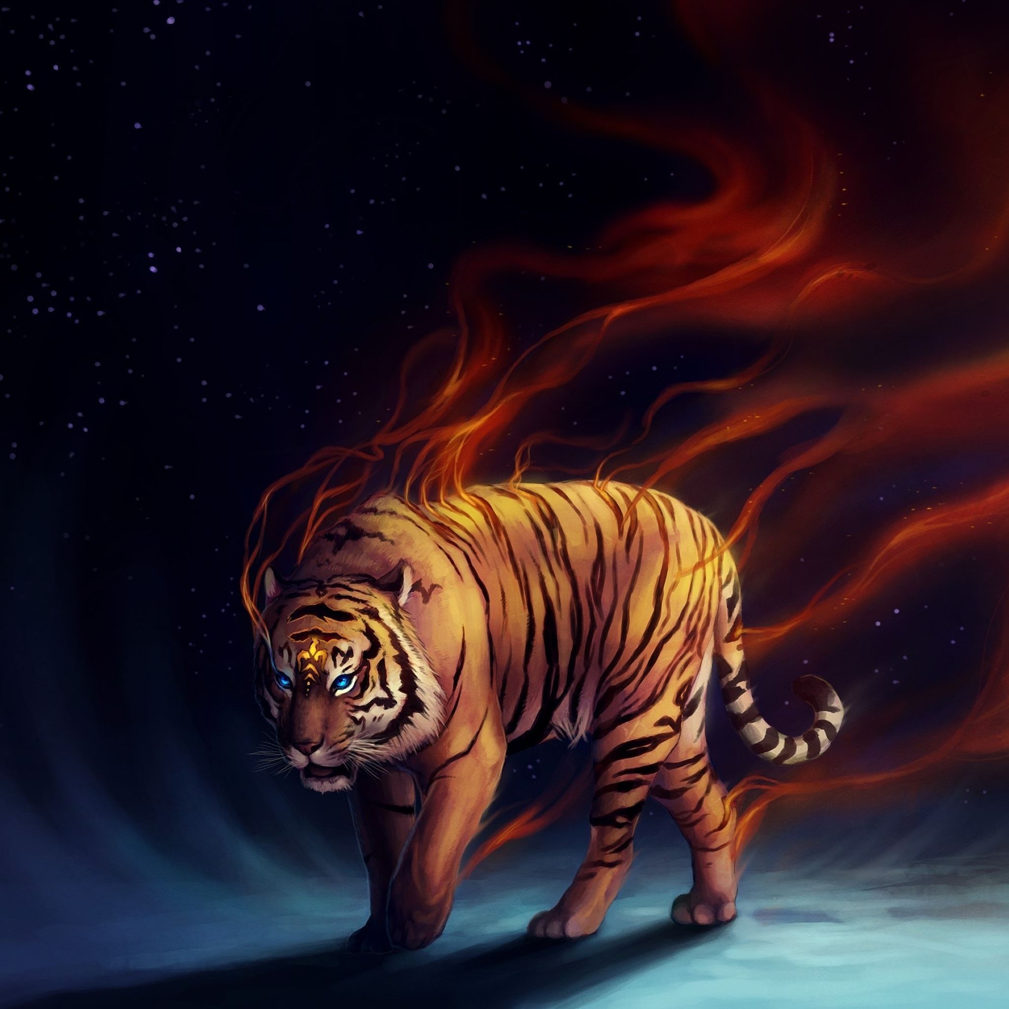 Wallpapers Tiger Wallpapers