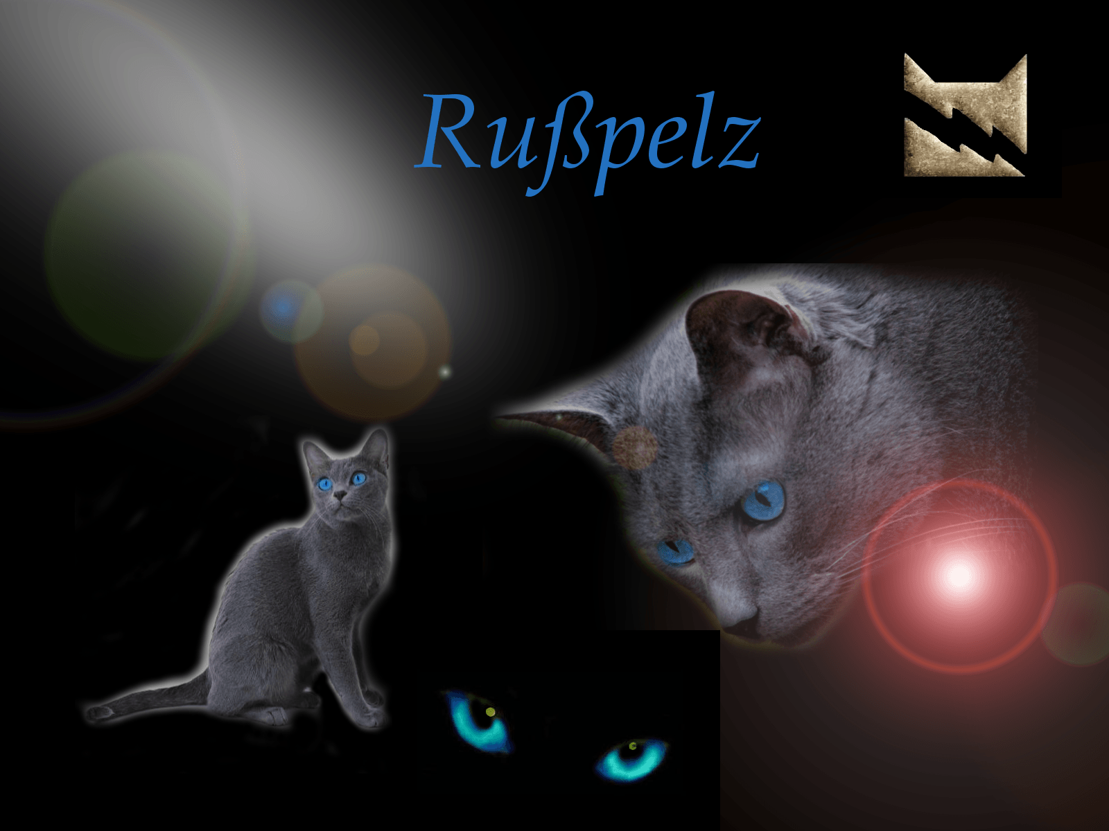 Warrior Cats Wallpapers