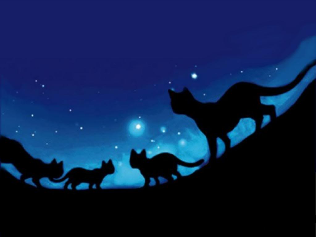 Warrior Cats Wallpapers