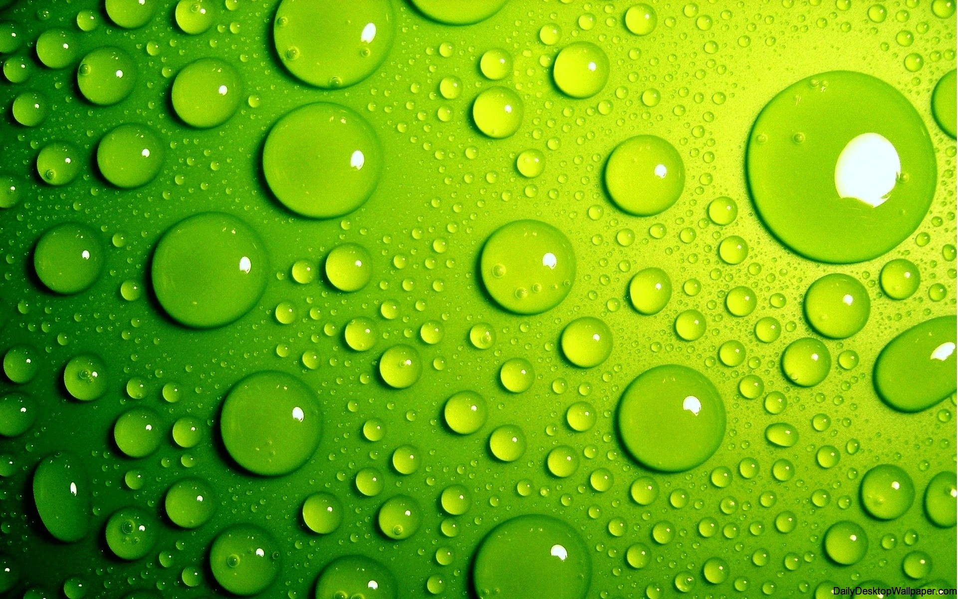 Water Droplets Wallpapers