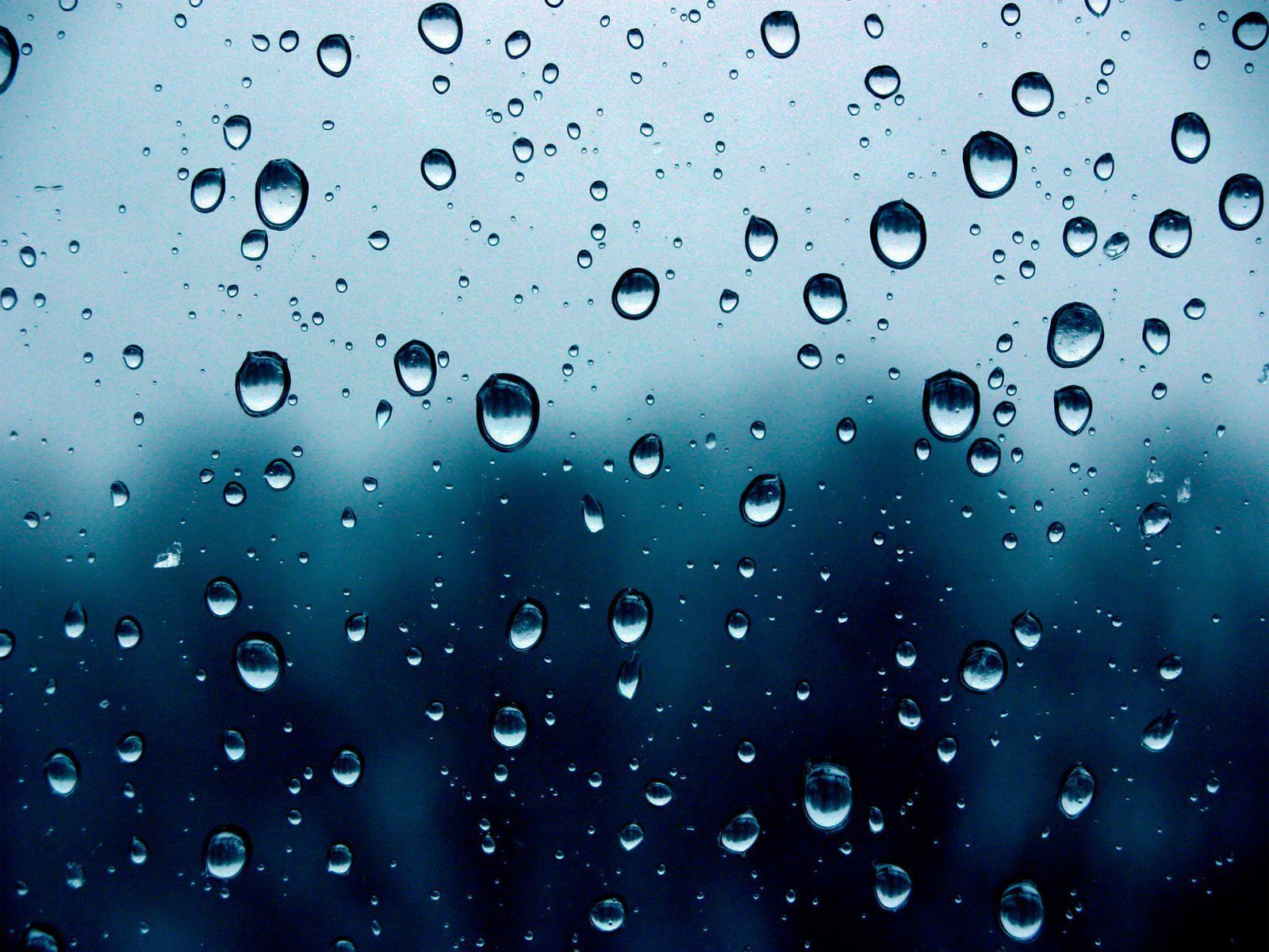 Water Droplets Wallpapers