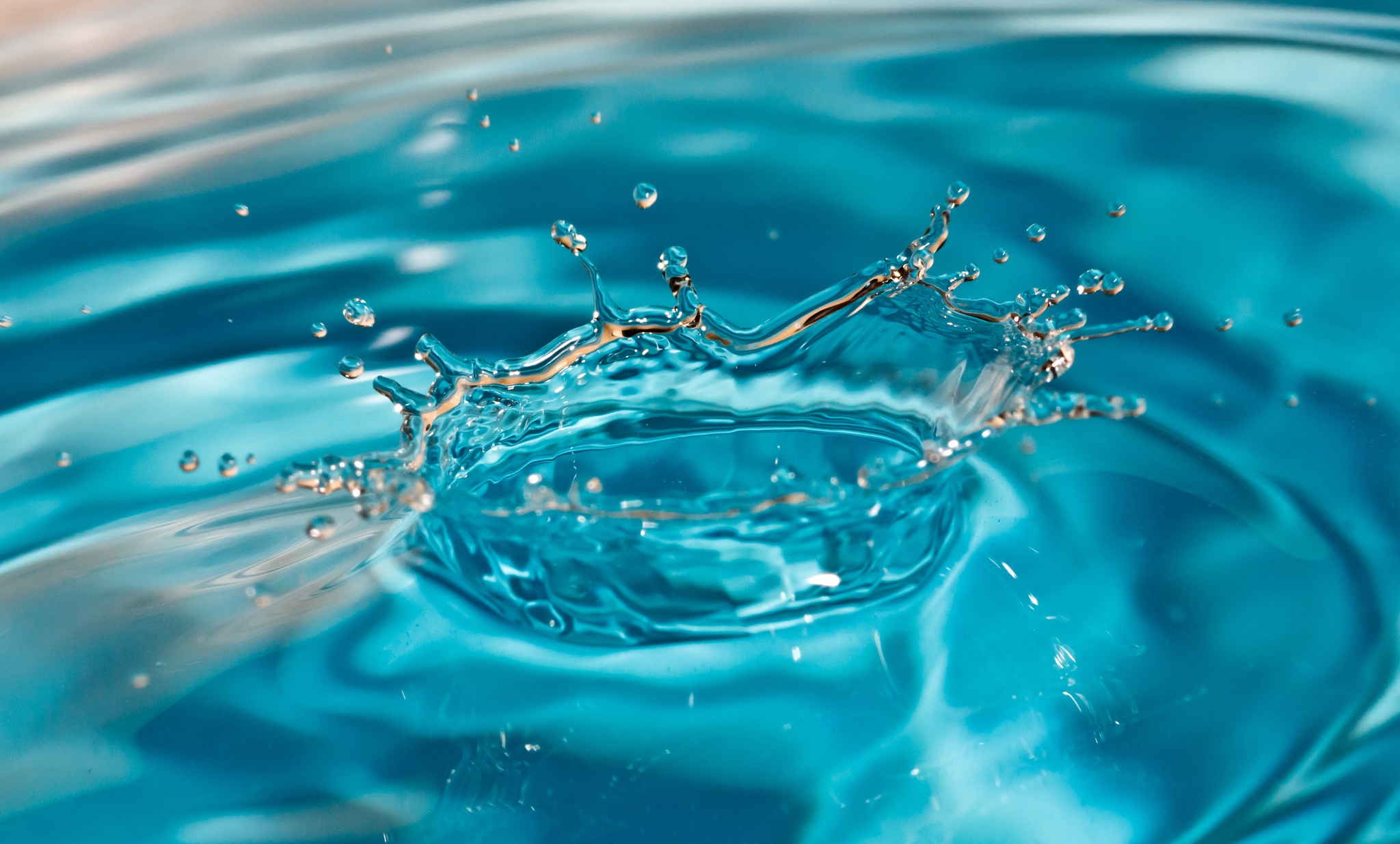 Water Droplets Wallpapers