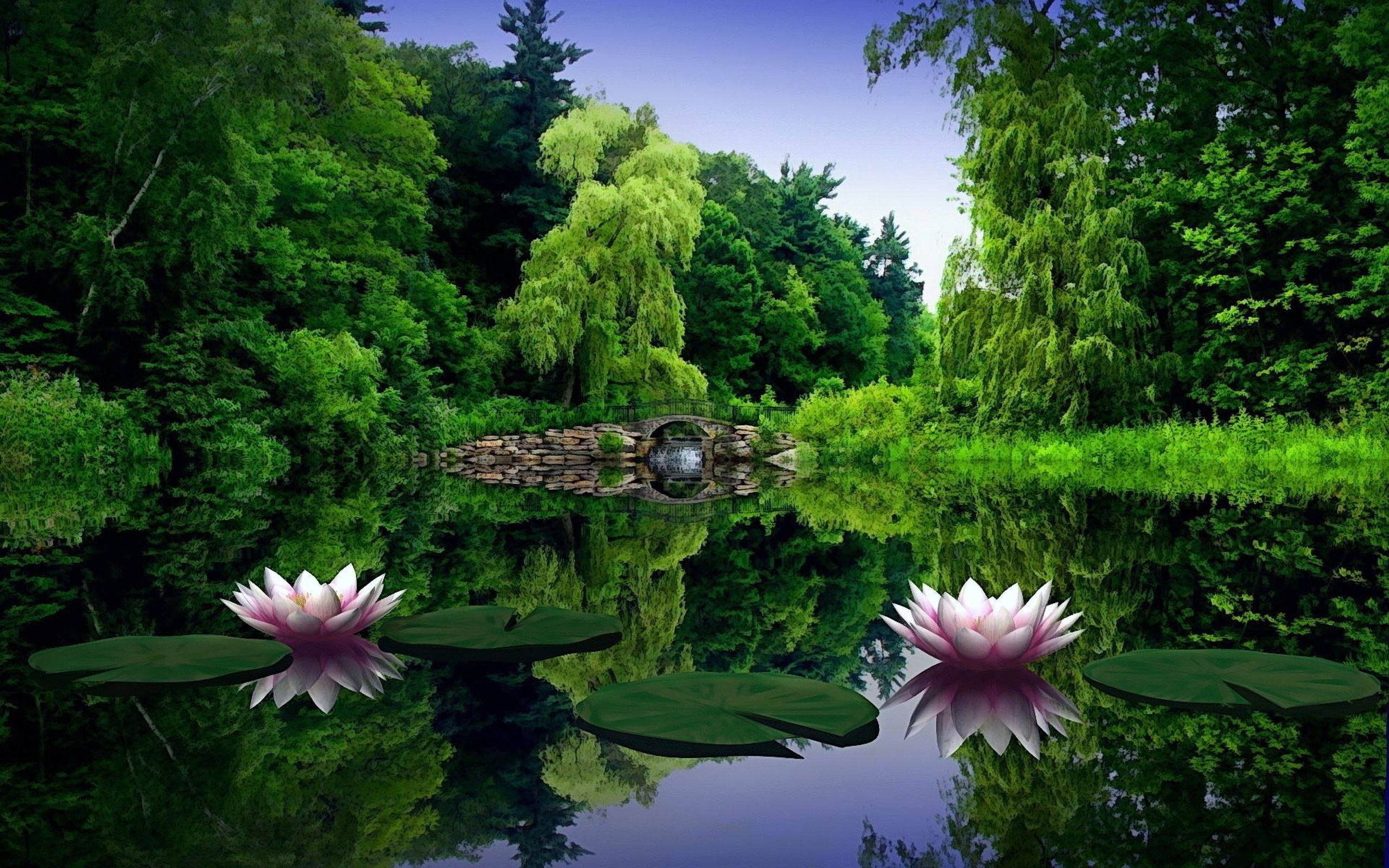 Water Garden Wallpapers