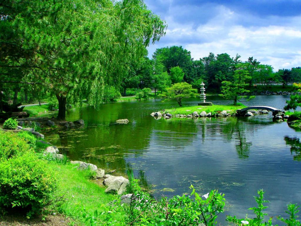 Water Garden Wallpapers